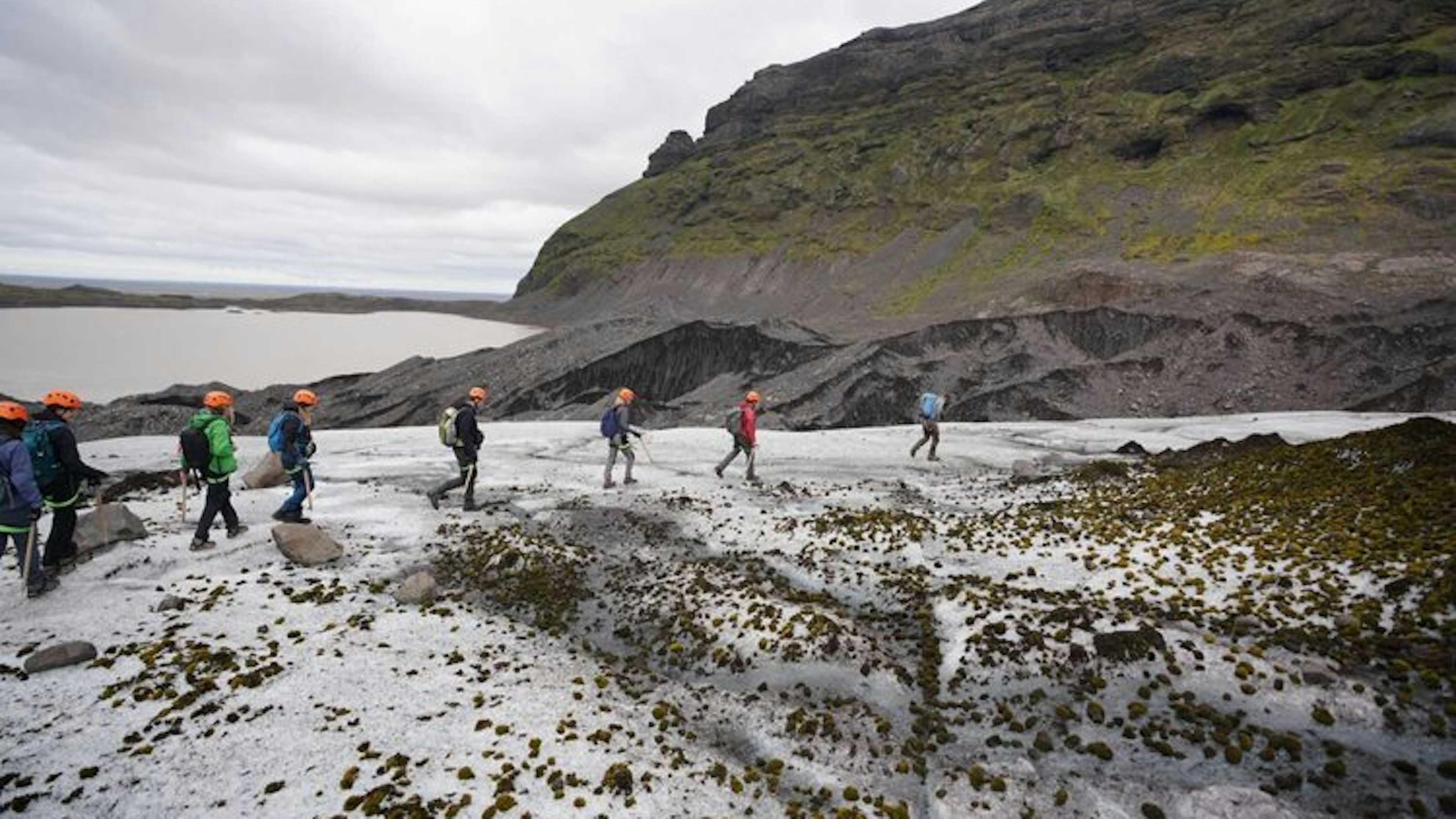 Summer Glacier Encounter