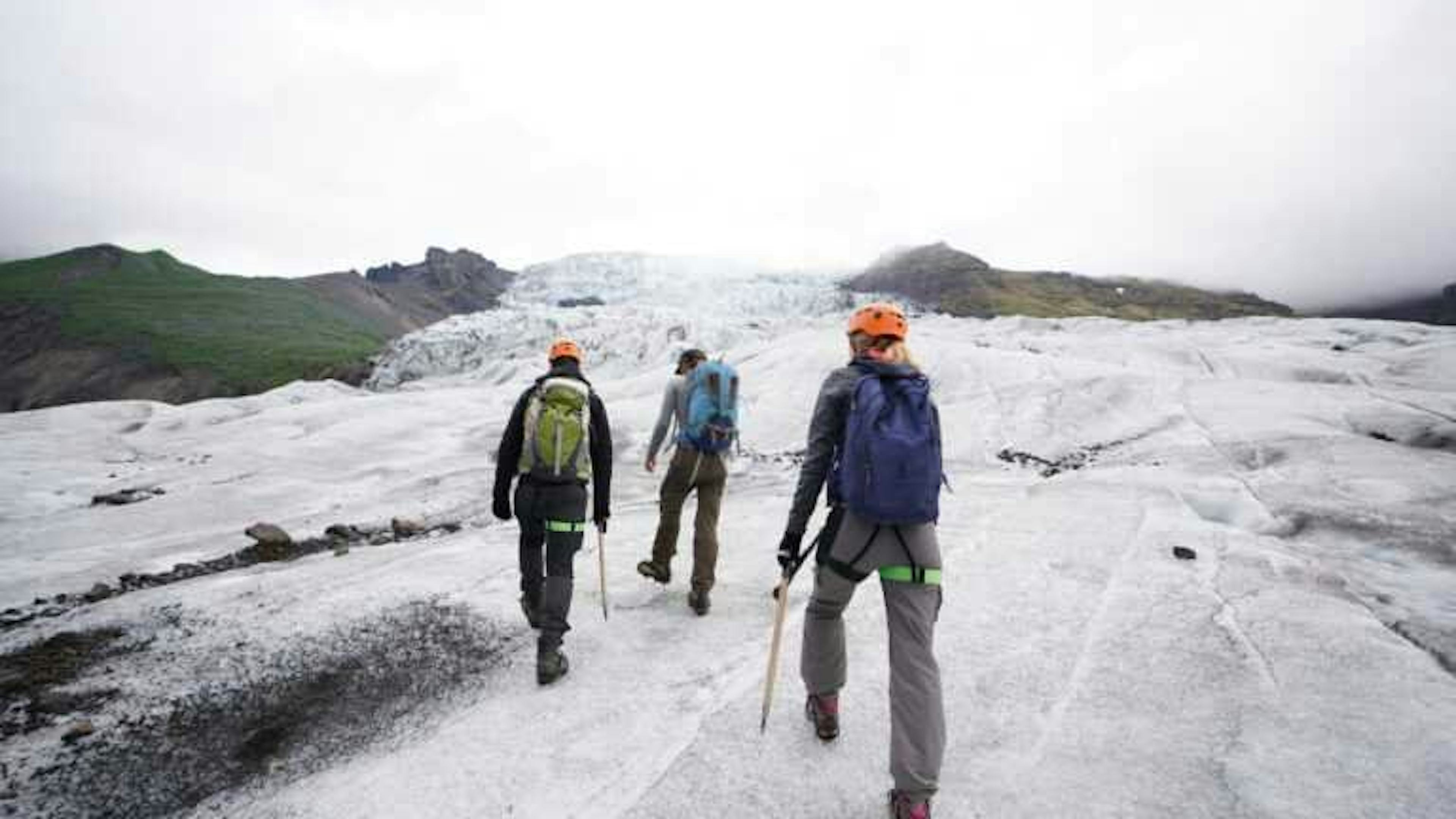 Summer Glacier Encounter