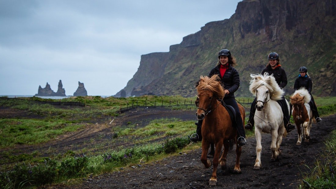 Vik Black Sand Beach Horseback