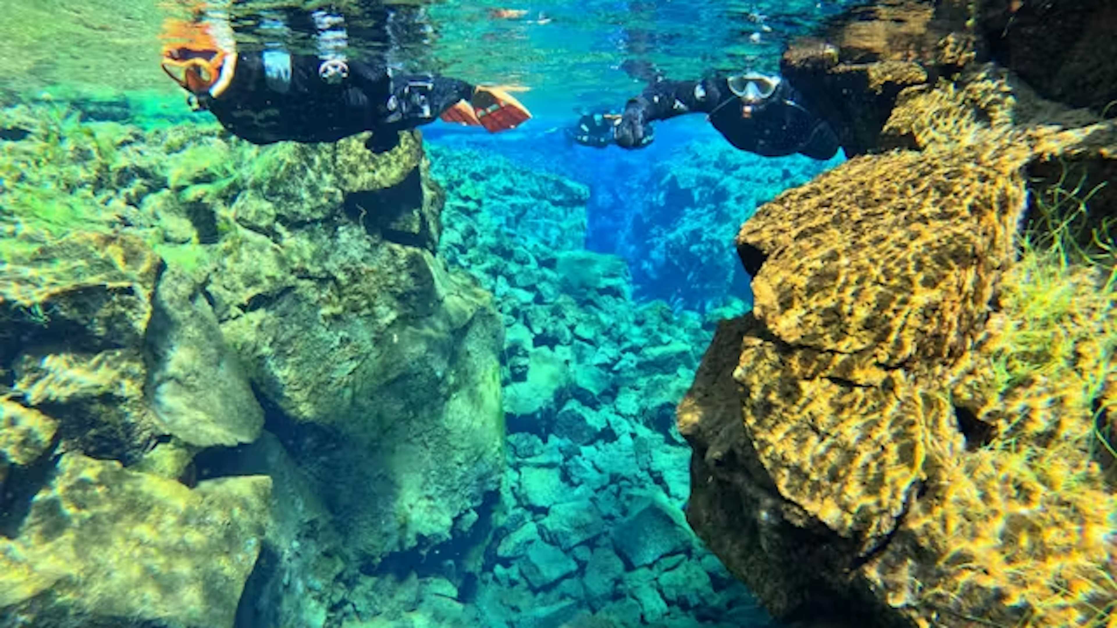 Snorkeling in Silfra