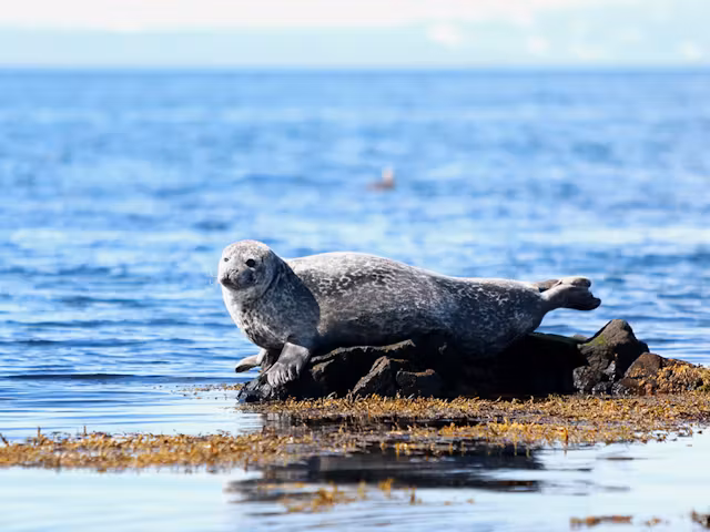 Snæfellsnes Peninsula
