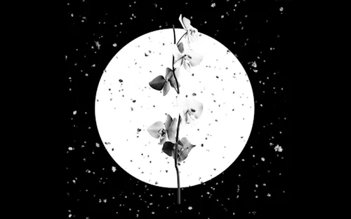 Sketch - single from Steal the Light from Let Spin