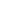 Branch icon