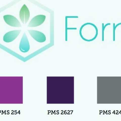 Close-up of logo and squares illustrating brand colors and color codes