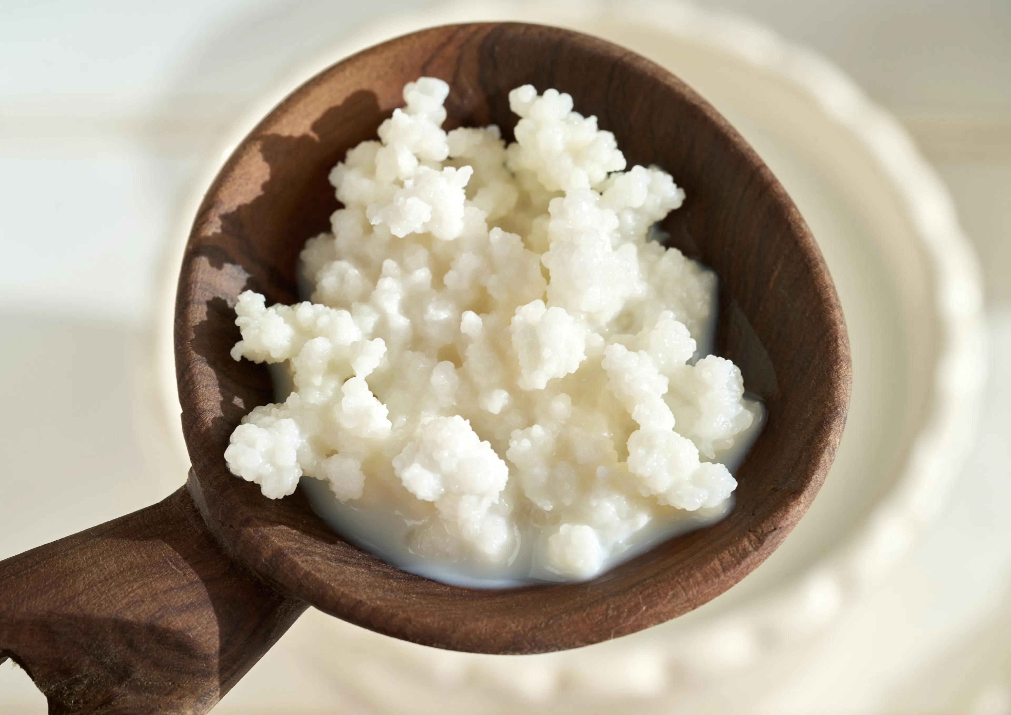 Kefir de lait