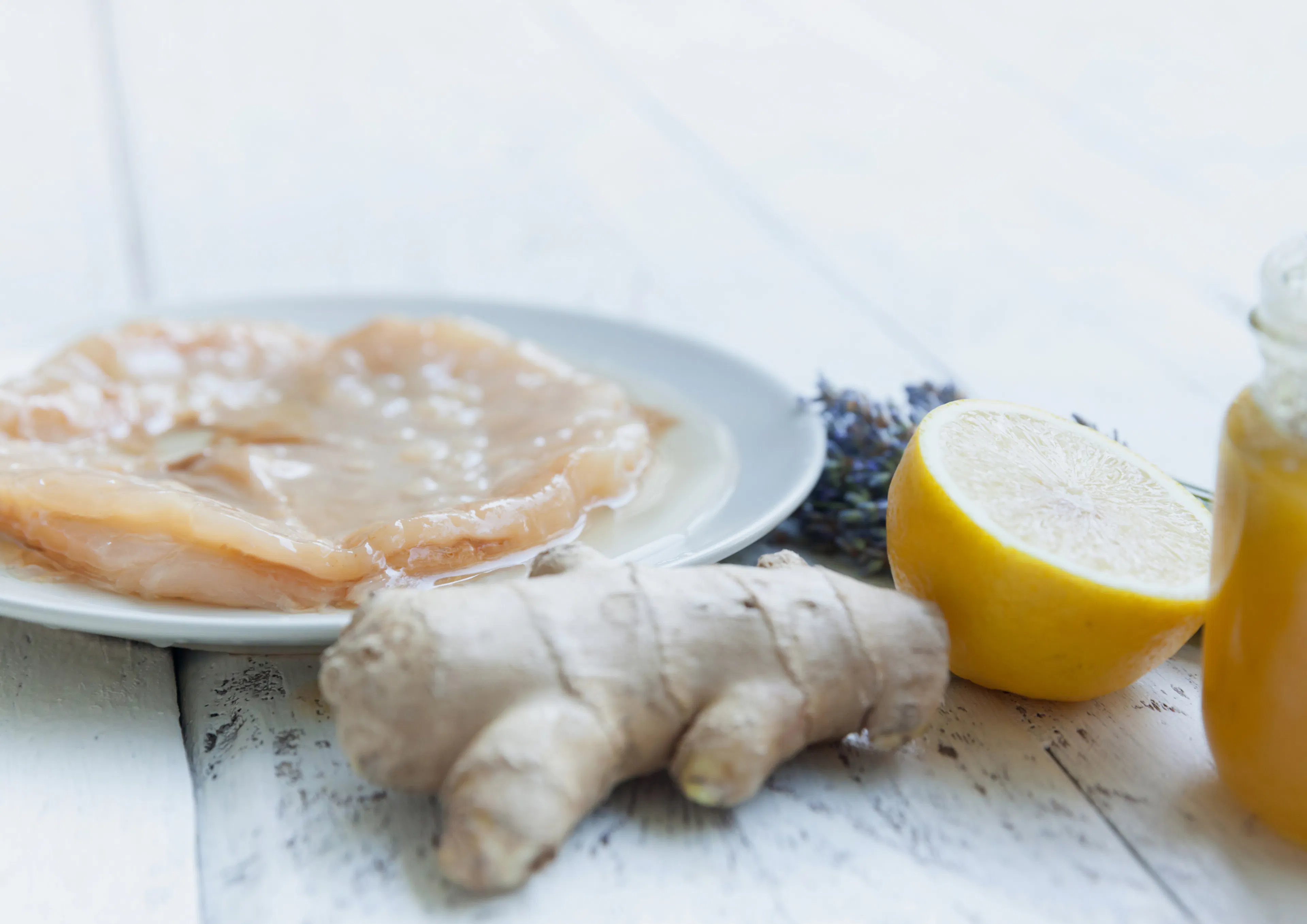 mère de kombucha