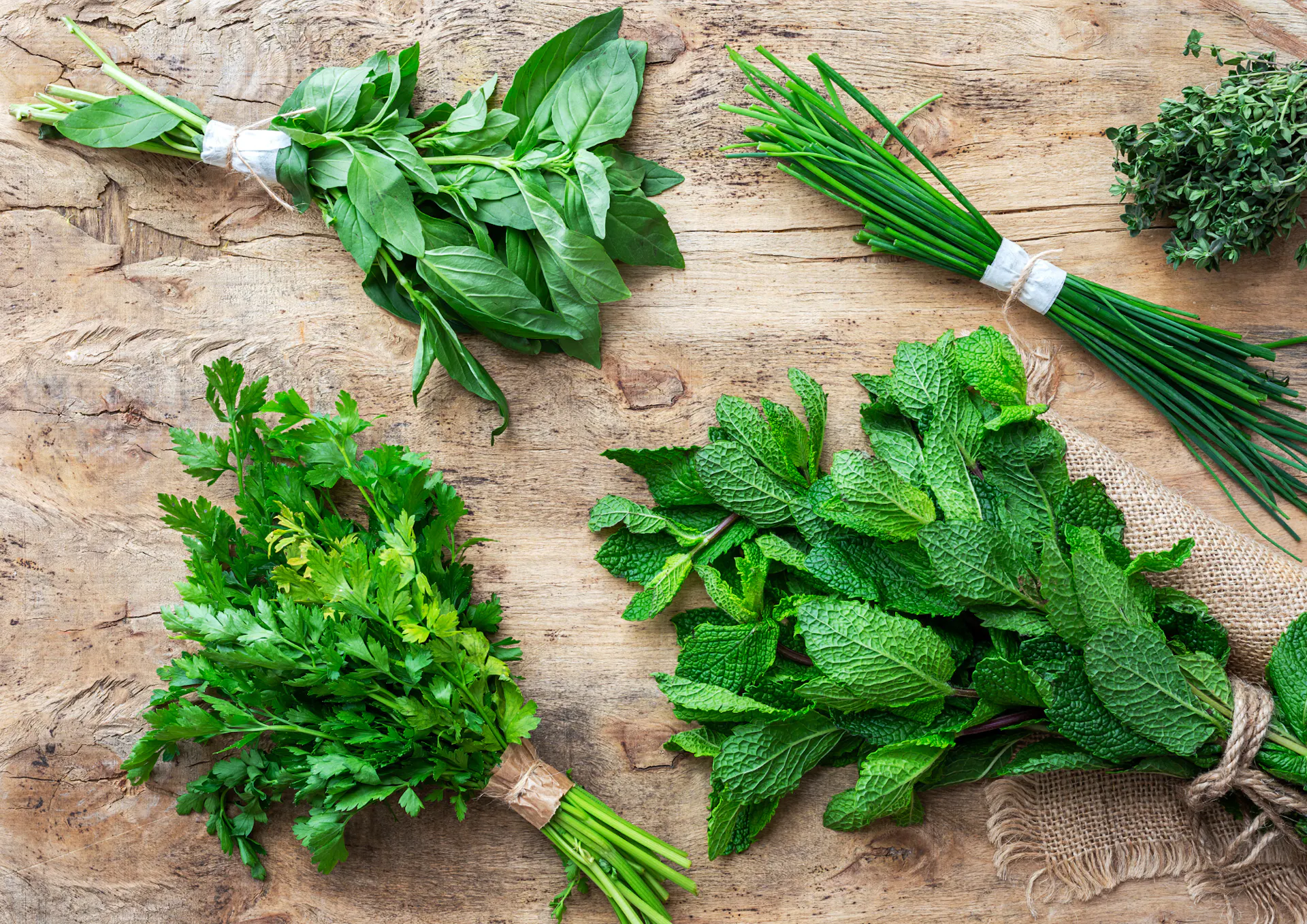 herbes aromatiques
