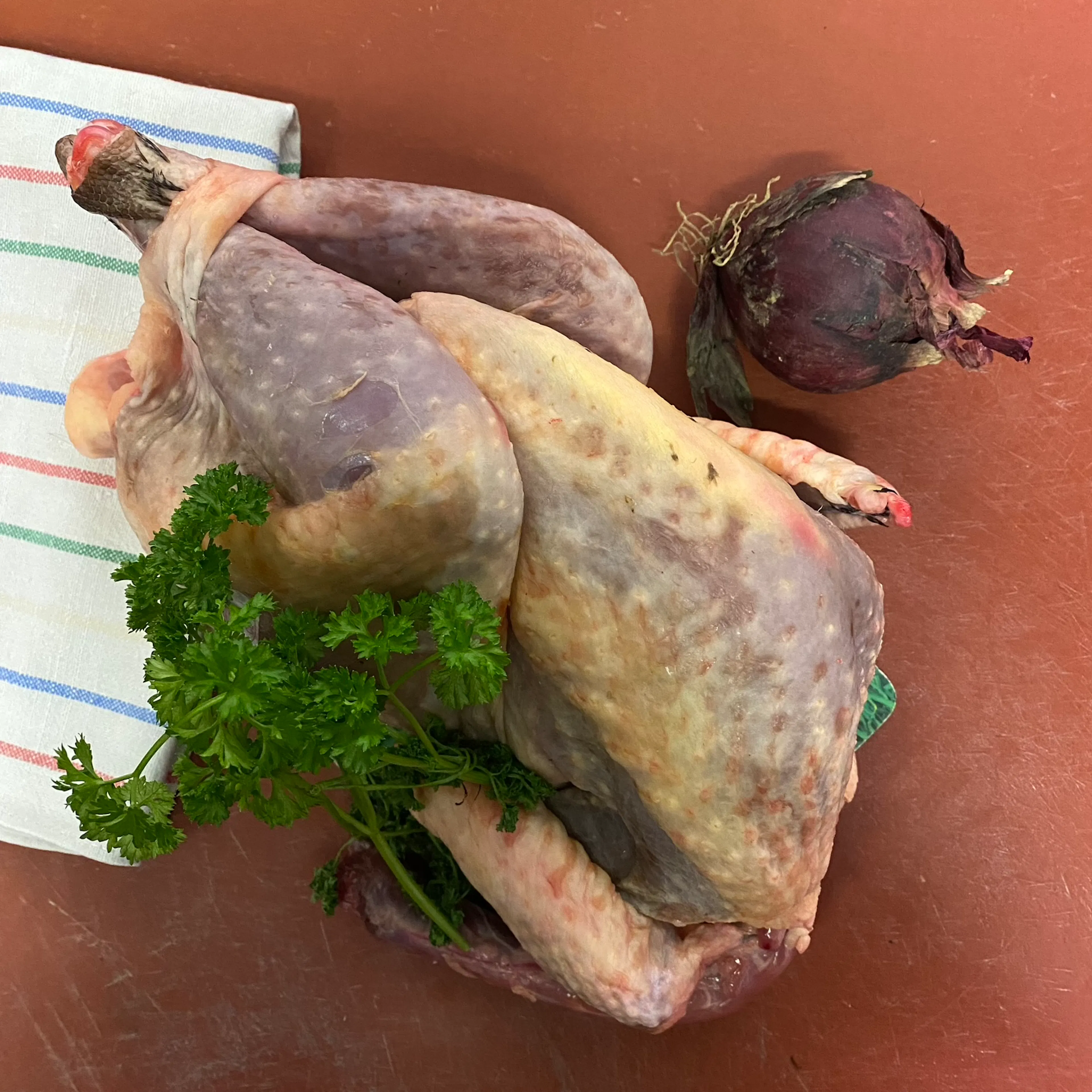 pintade