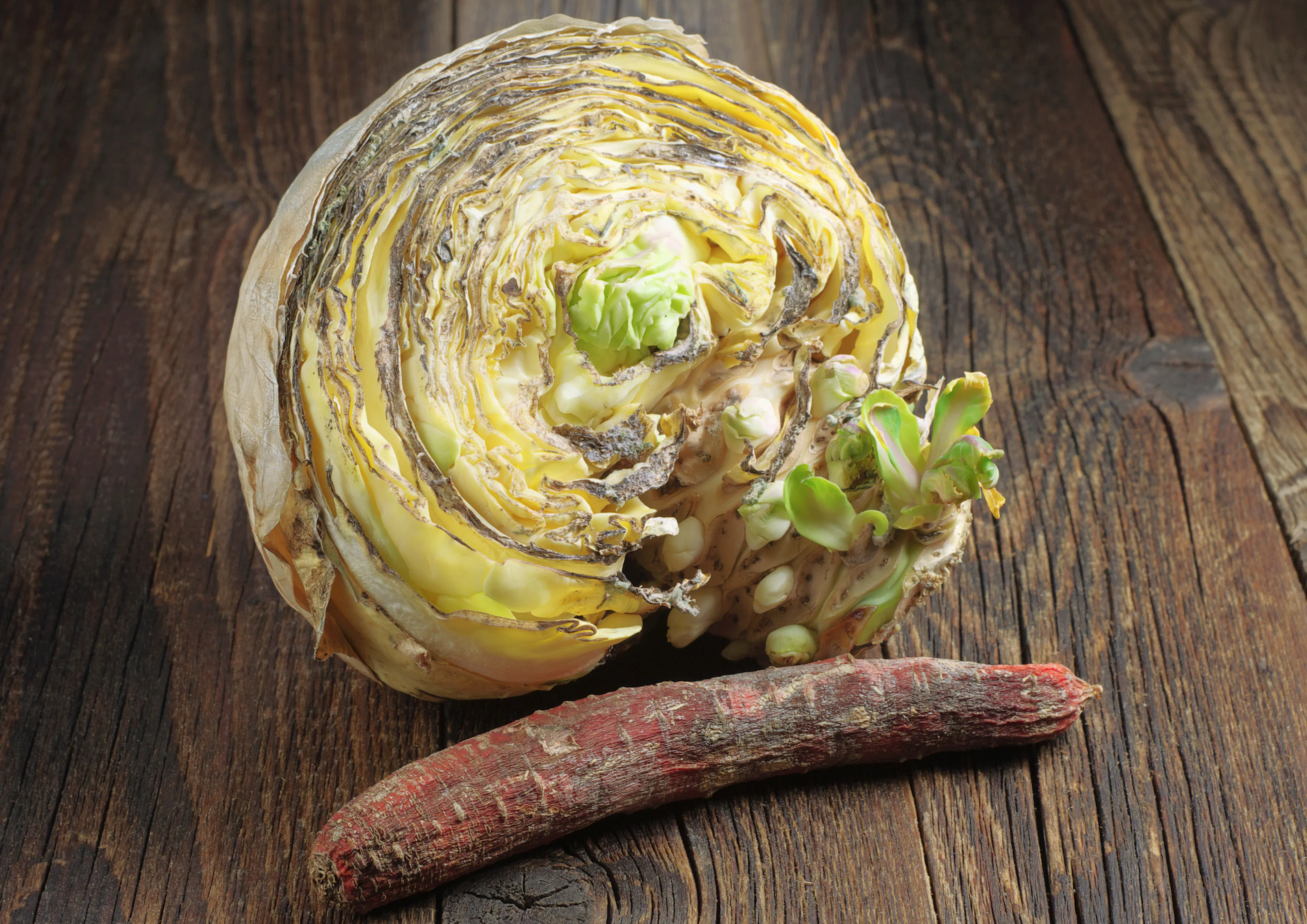 légumes pourris