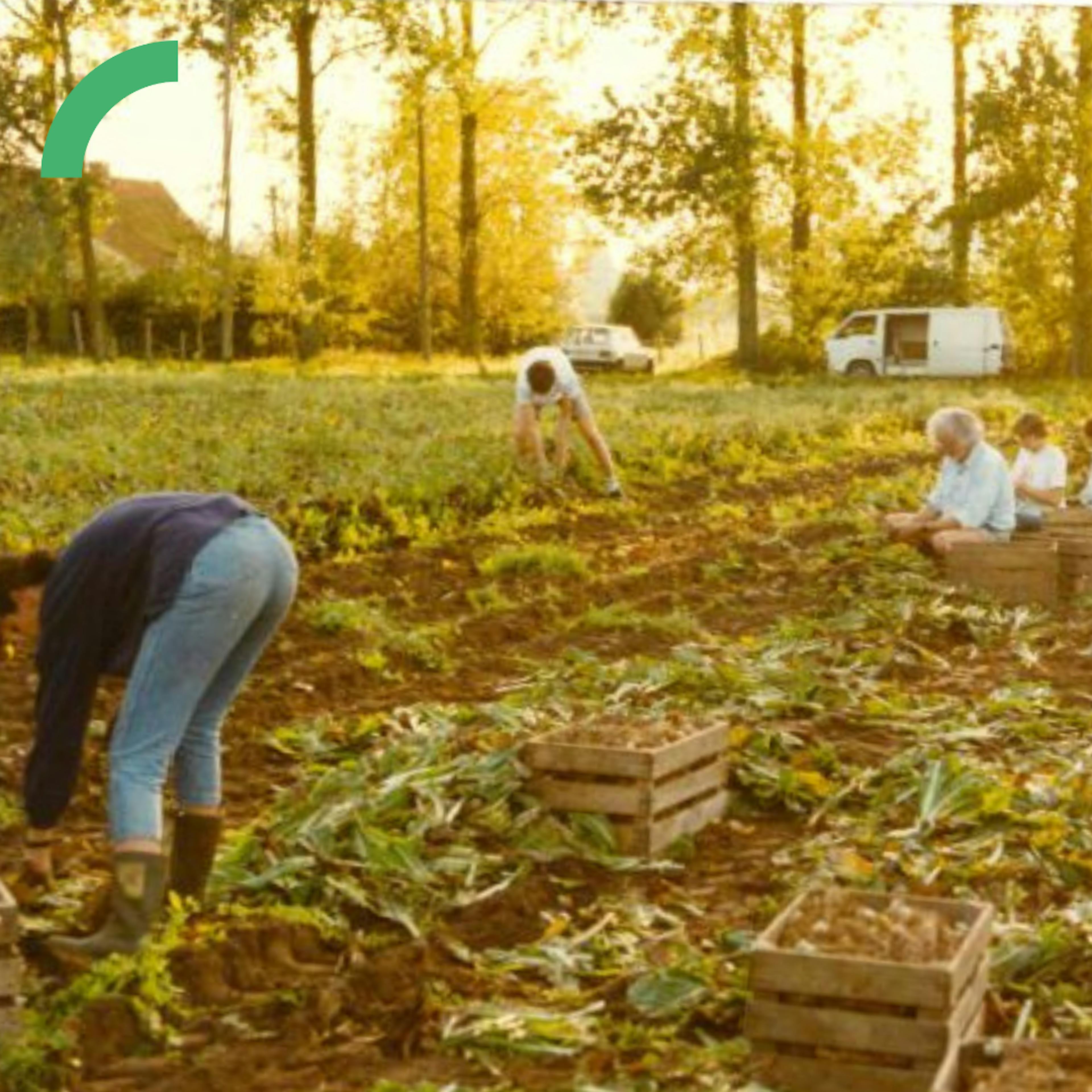 Foto uit de oude doos van De Wassende Maan. Mensen boeren op het veld.