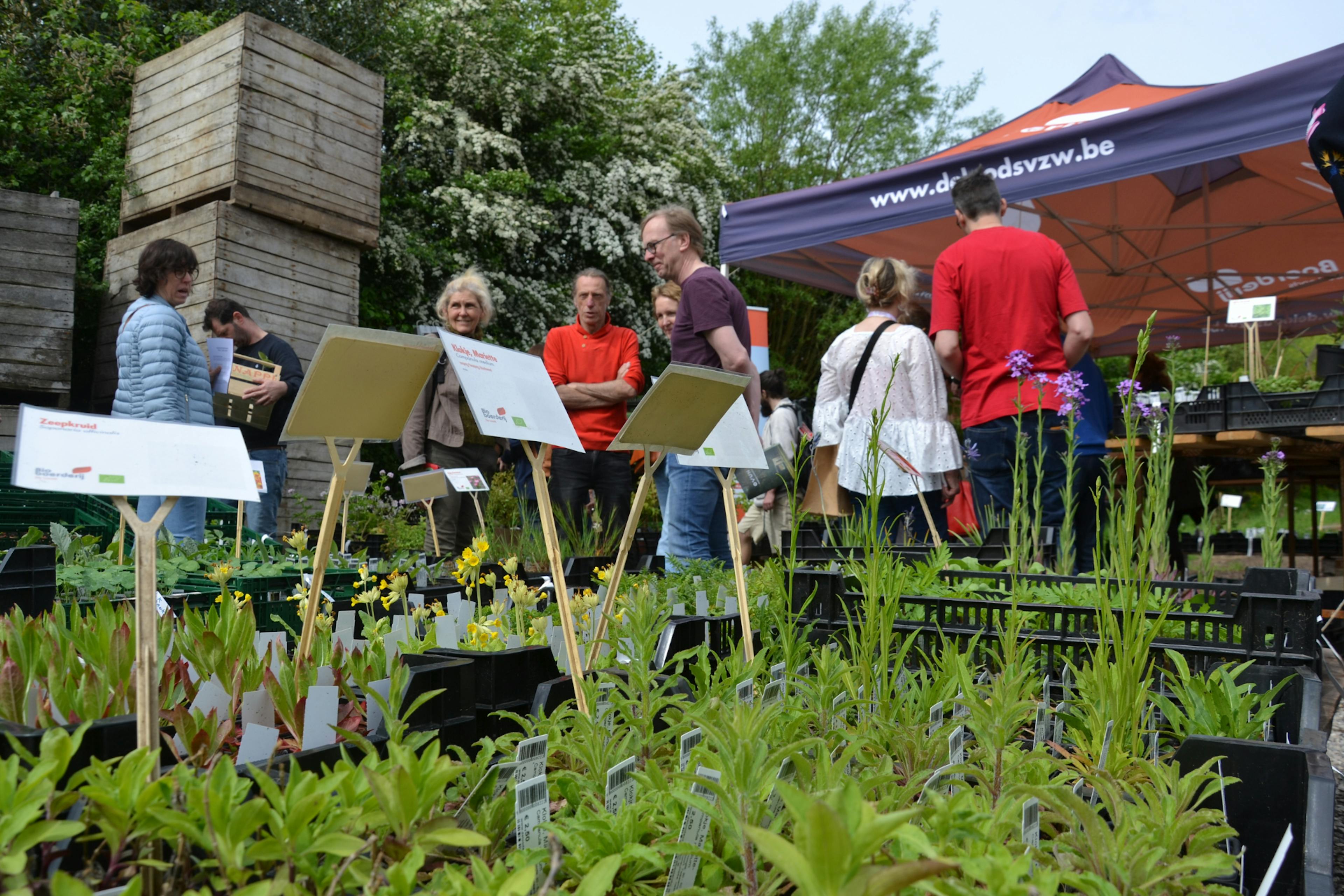 Foto van de plantenstand van Bioboerderij De Loods op de Lentemarkt van De Wassende Maan