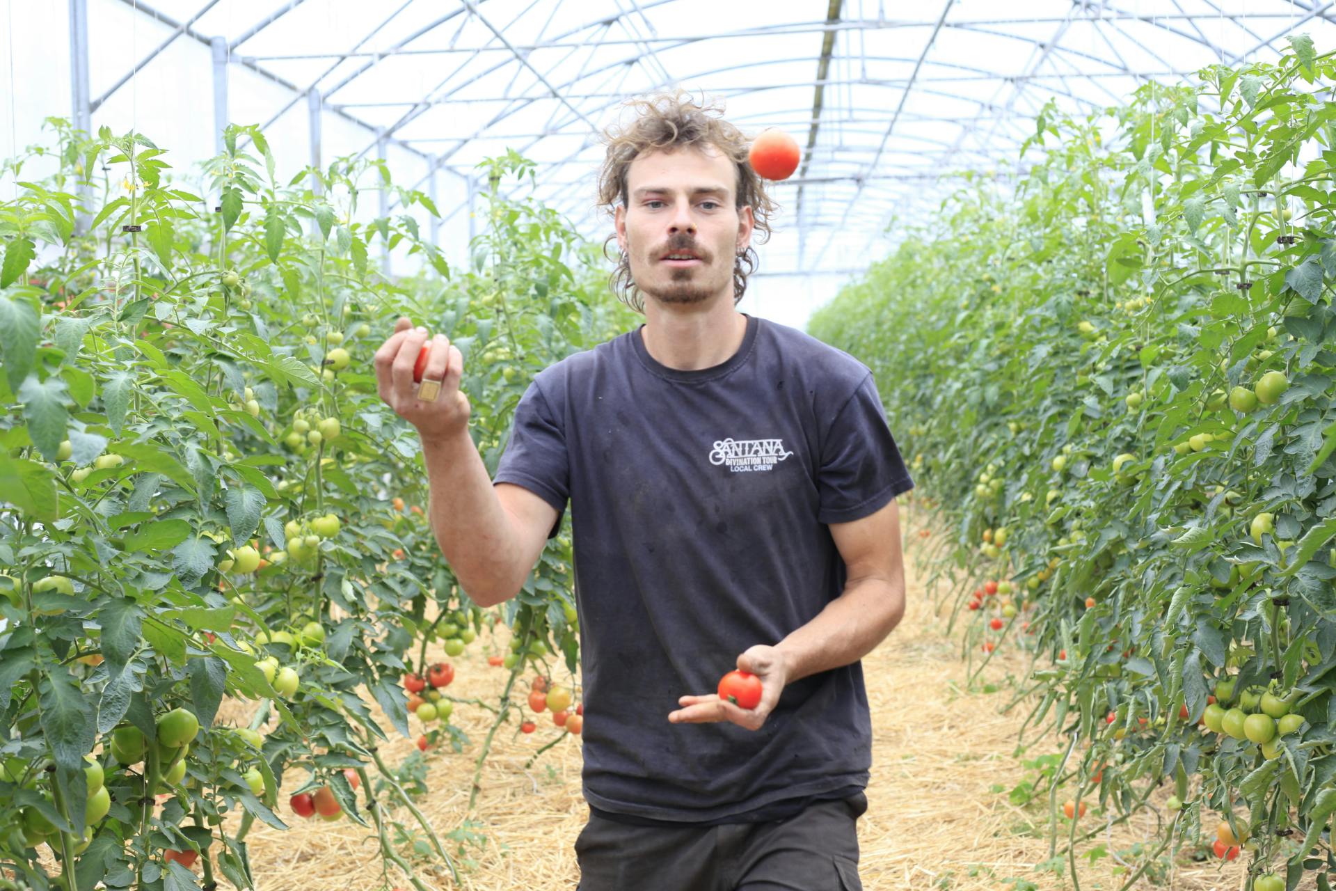 Boer Matthias in de serre, jonglerend met tomaten