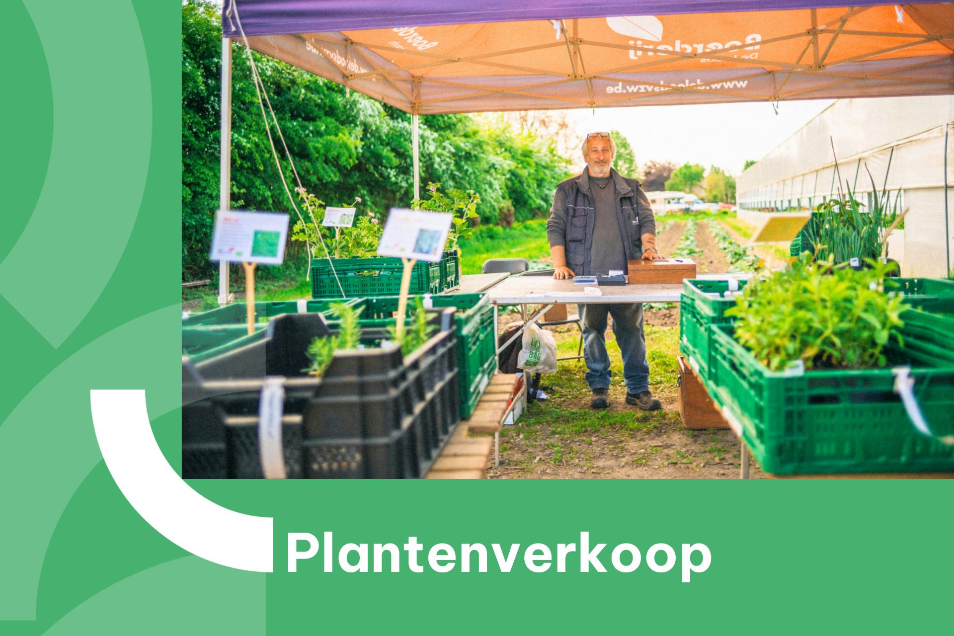 Banner met foto van plantenverkoop van bioboerderij De Loods