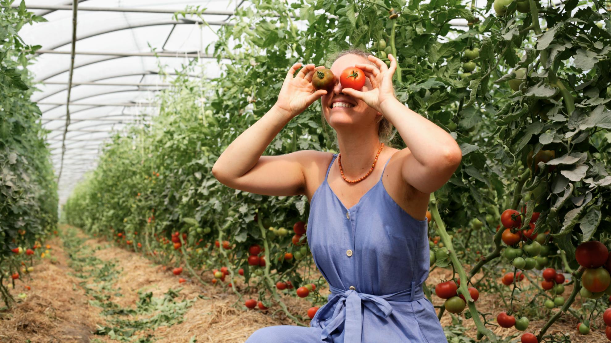 Foto van een vrouw in een tomatenserre van De Wassende Maan