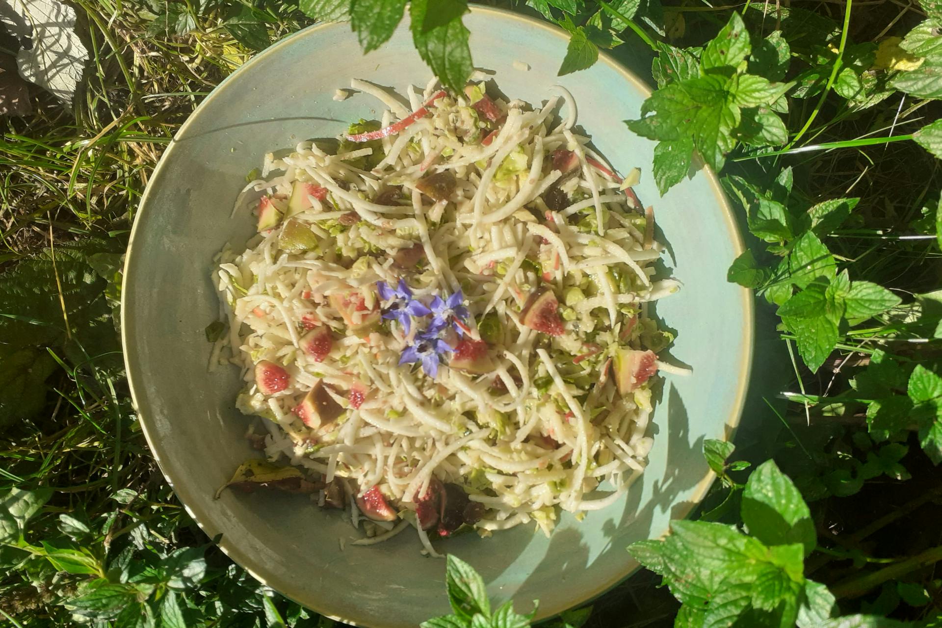Kom met comfortfood-slaatje met knolselder
