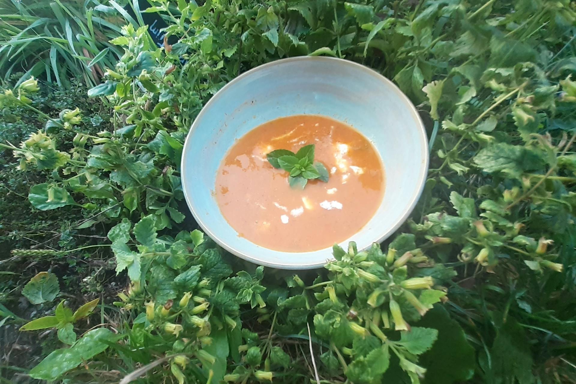 Zomerse gazpacho in kom