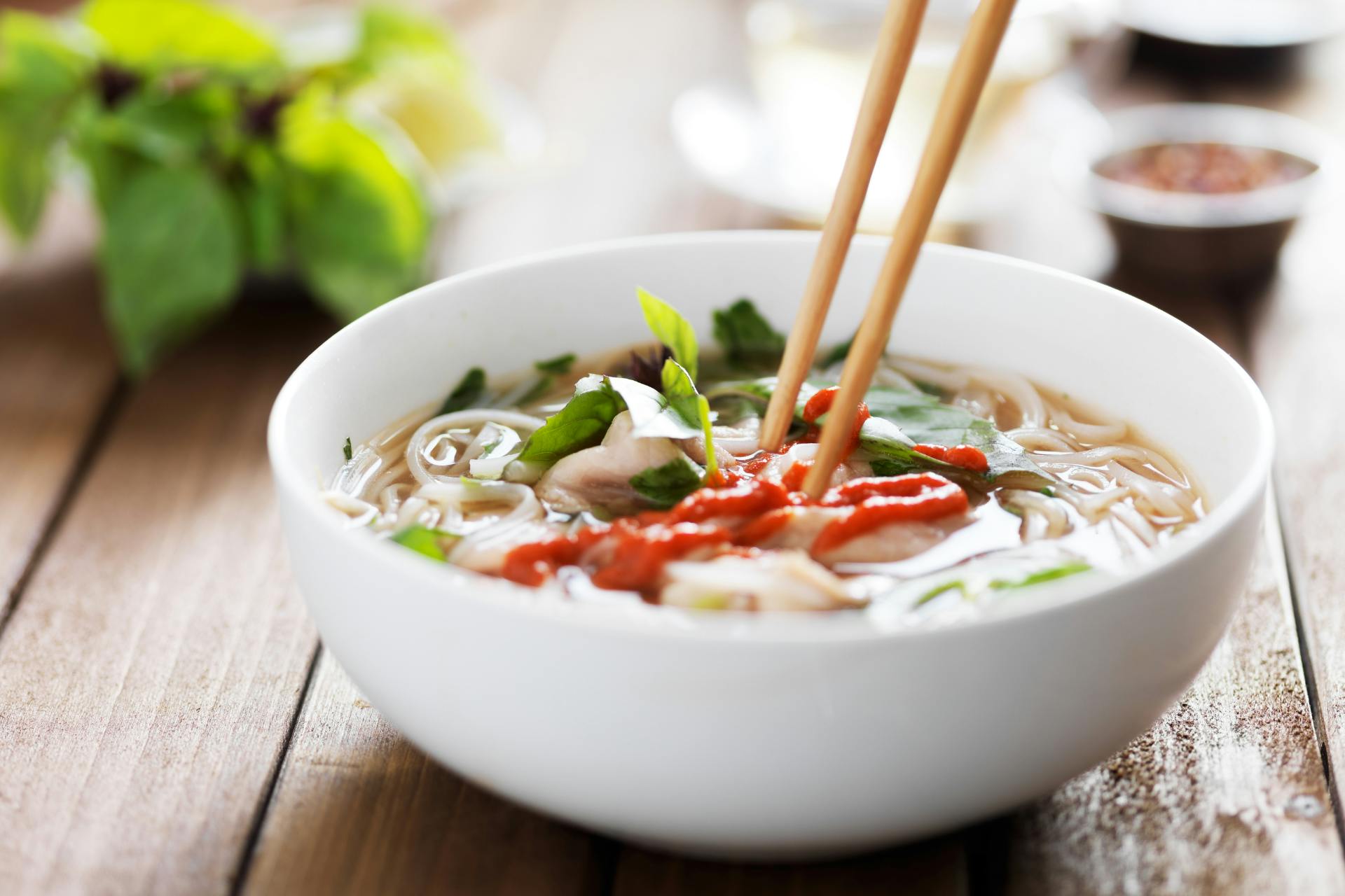 Kom met vegetarische pho met champignons