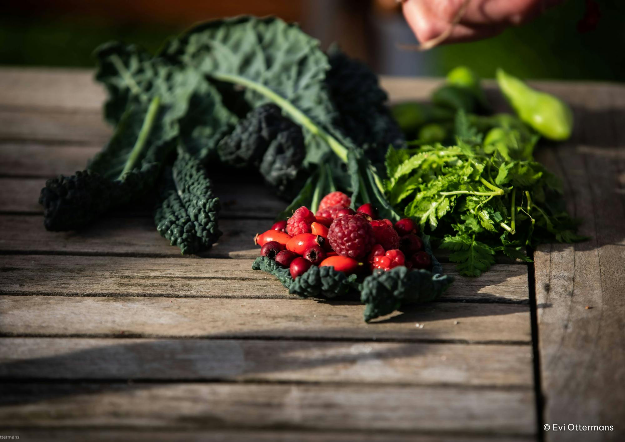 Foto van een combinatie van fruit en groenten