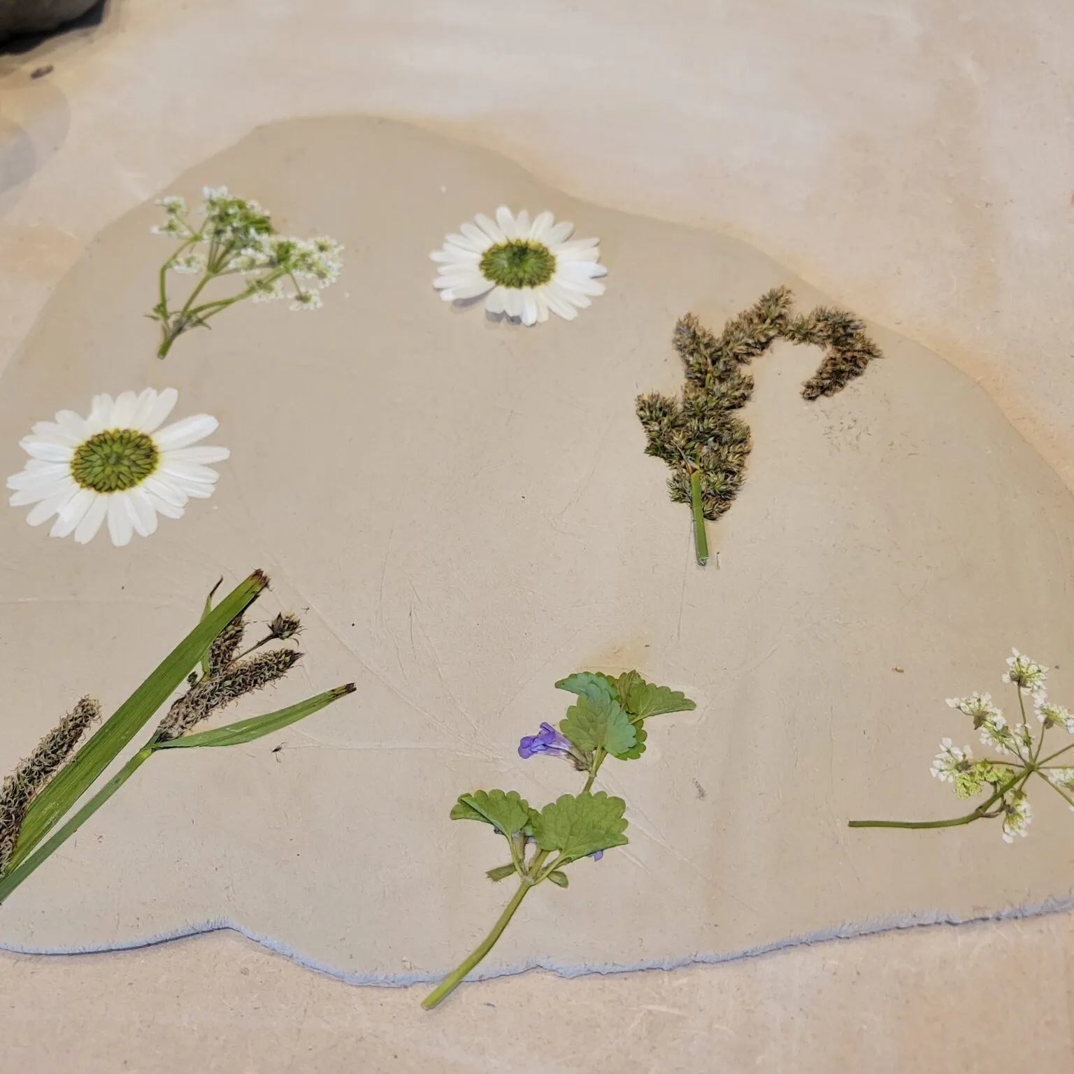 Foto van droogbloemen