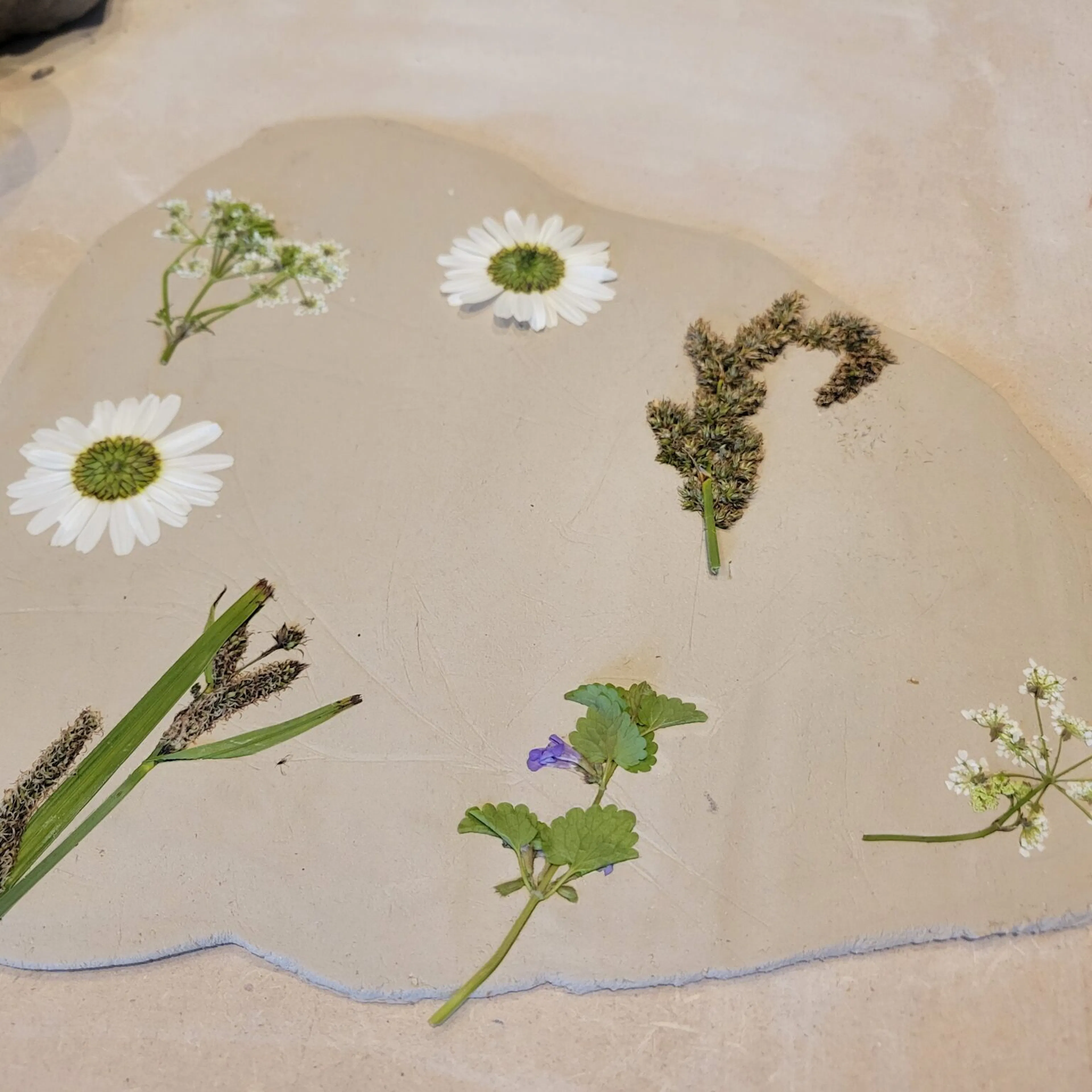 Foto van droogbloemen