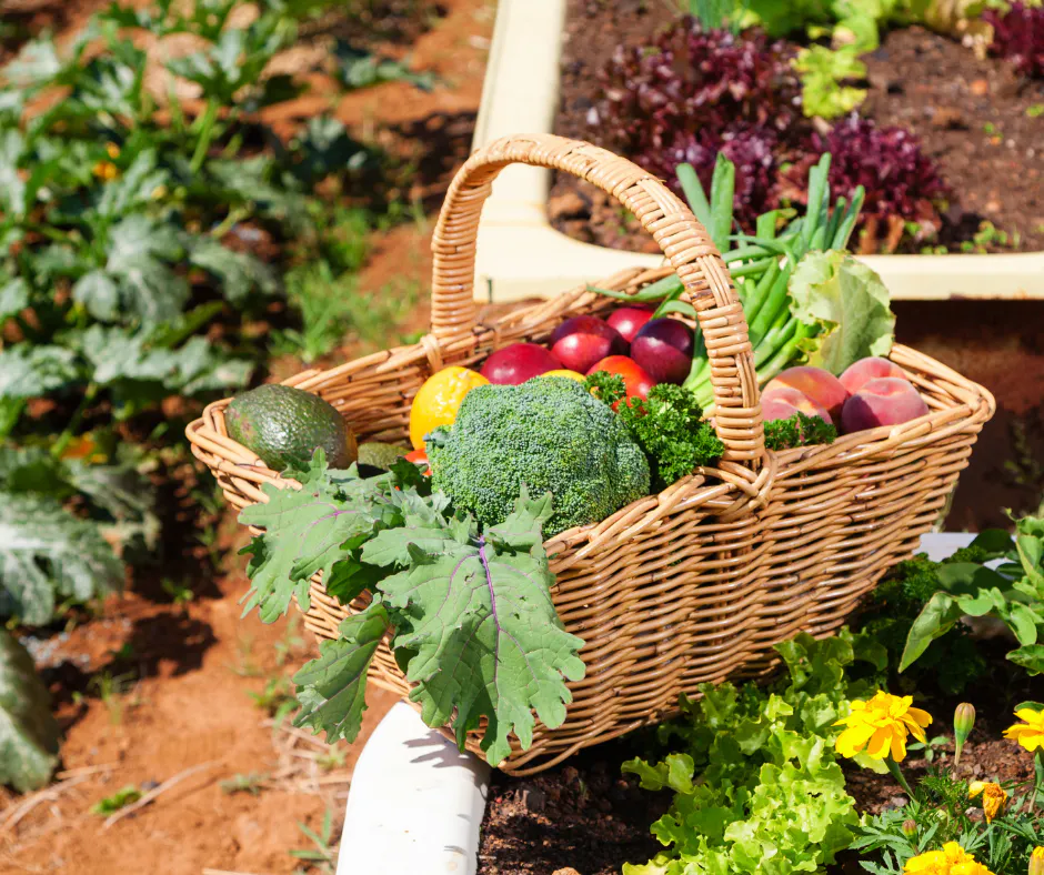 légumes frais
