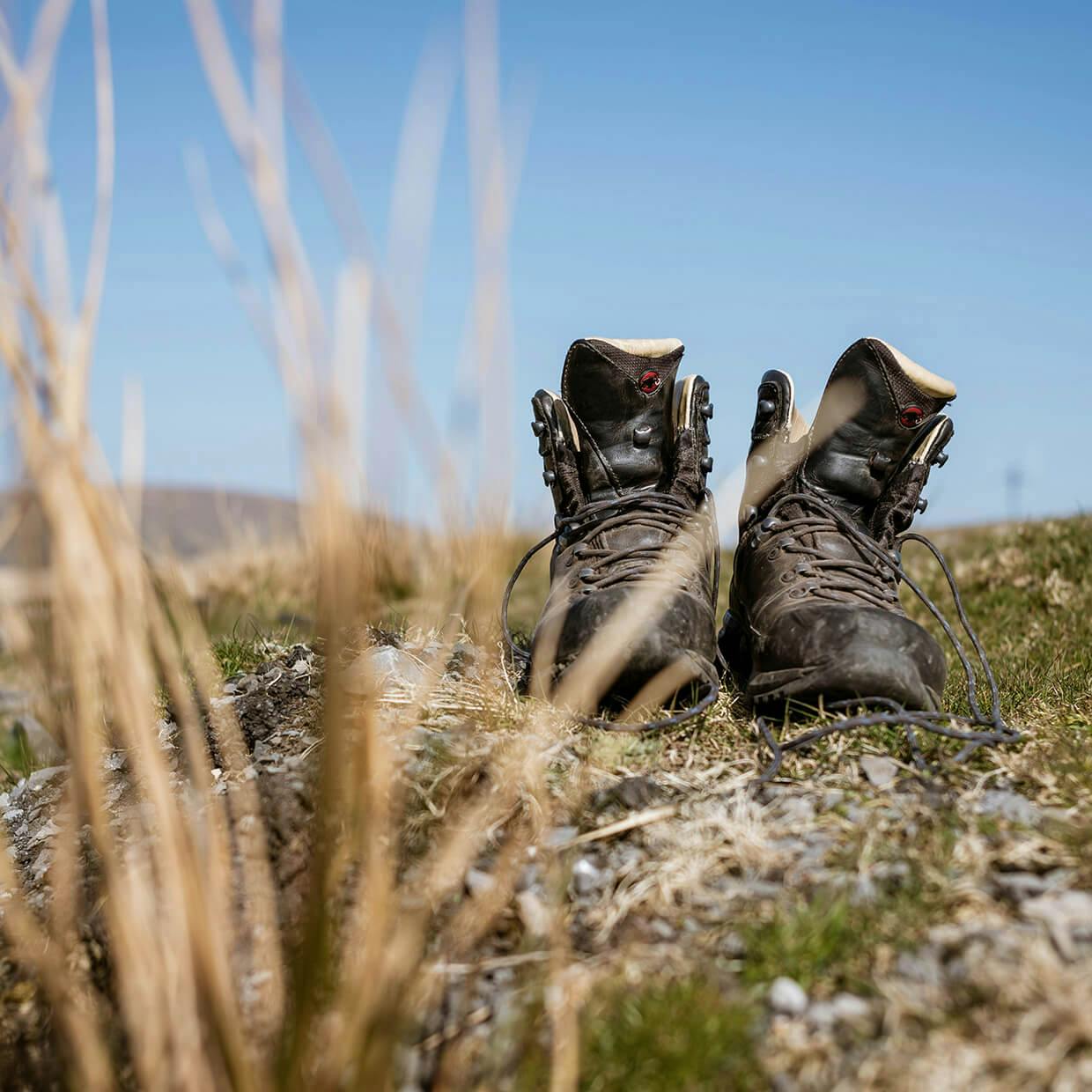 west-wales-tourism-brand