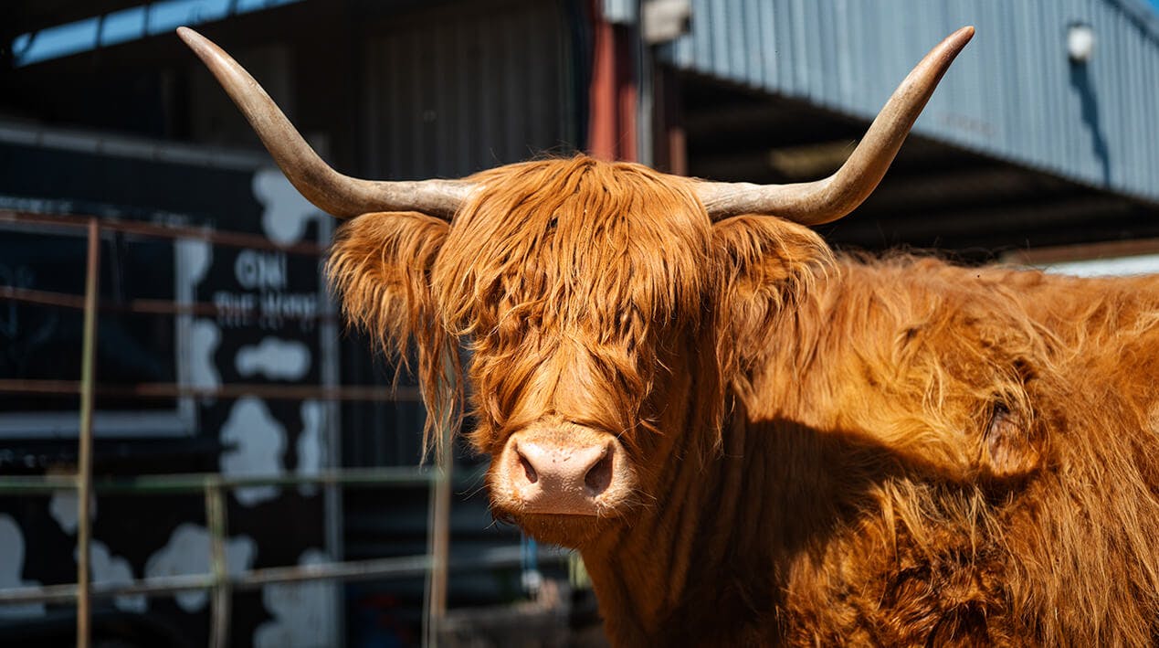 bargoed farm rebrand