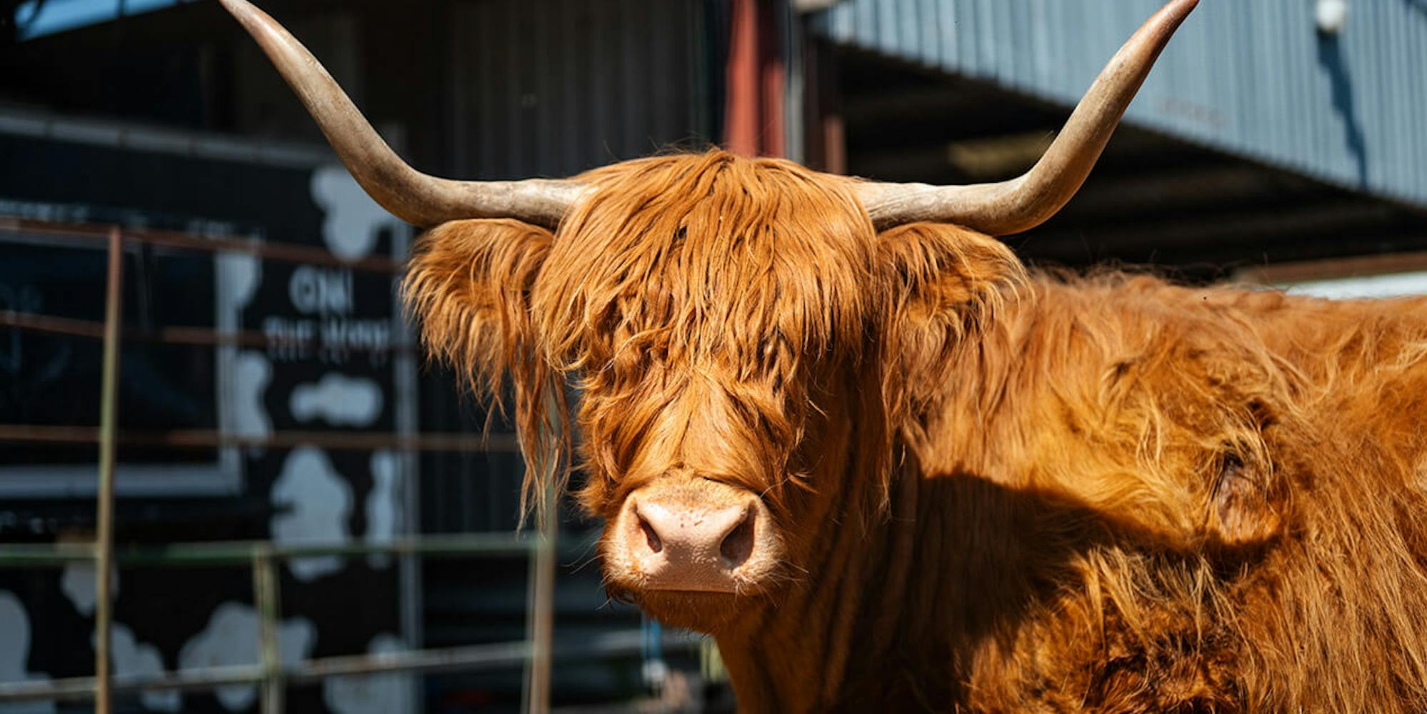 bargoed farm rebrand