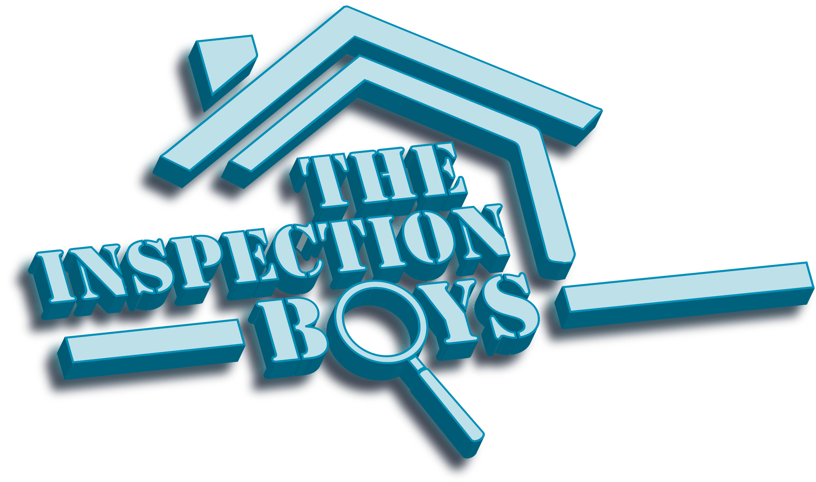 The Inspection Boys