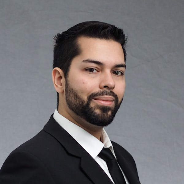 Peter Doczi Liberty Land Abstract