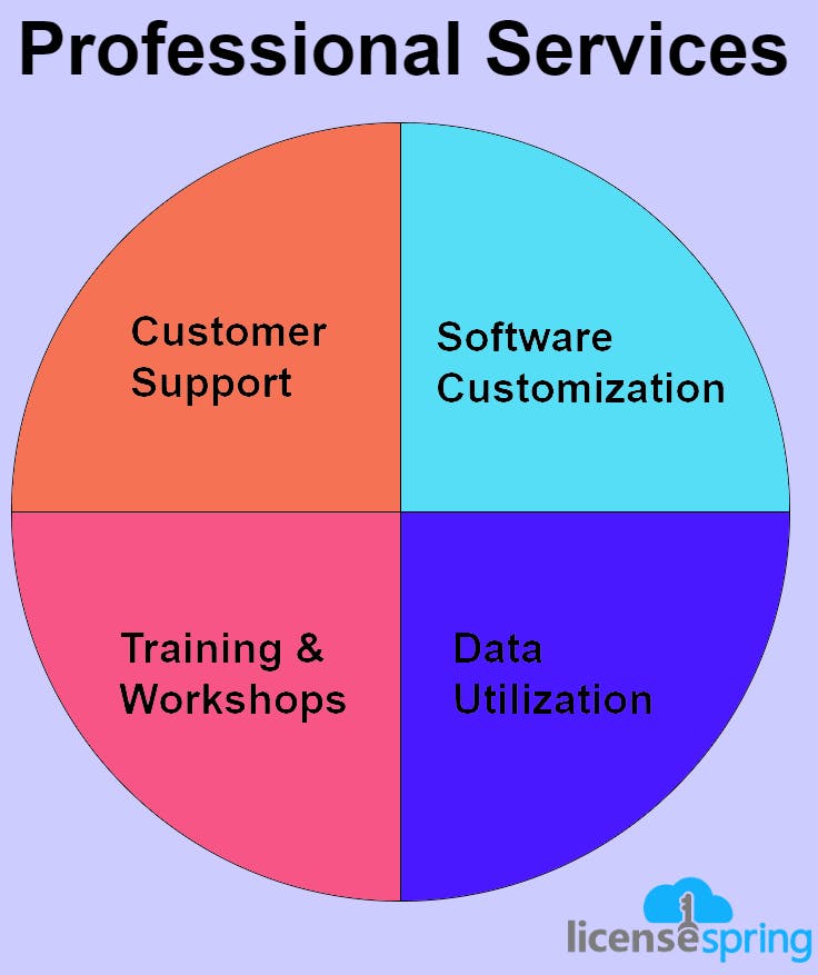 Professional services associated with software monetization.