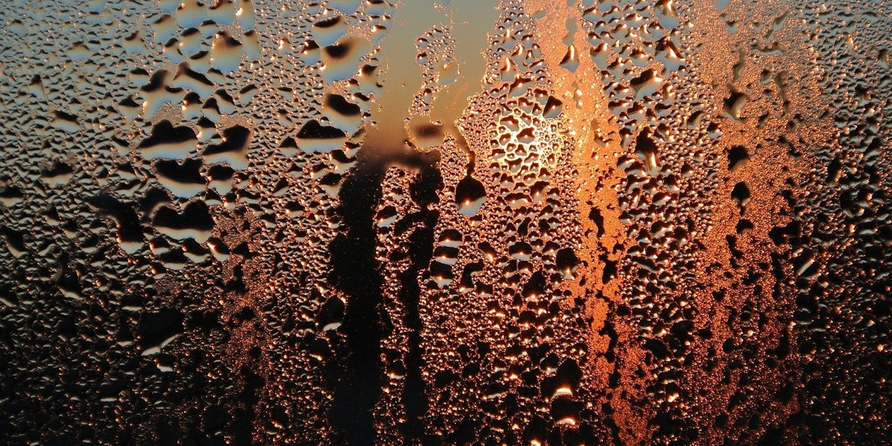 Kondenswasser am Dachfenster