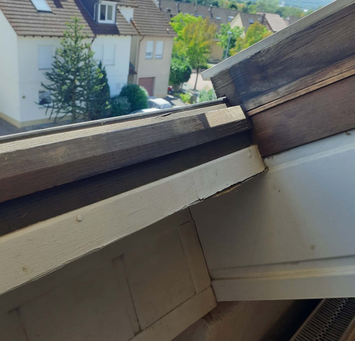 Schimmel an Rahmen eines Holzdachfensters