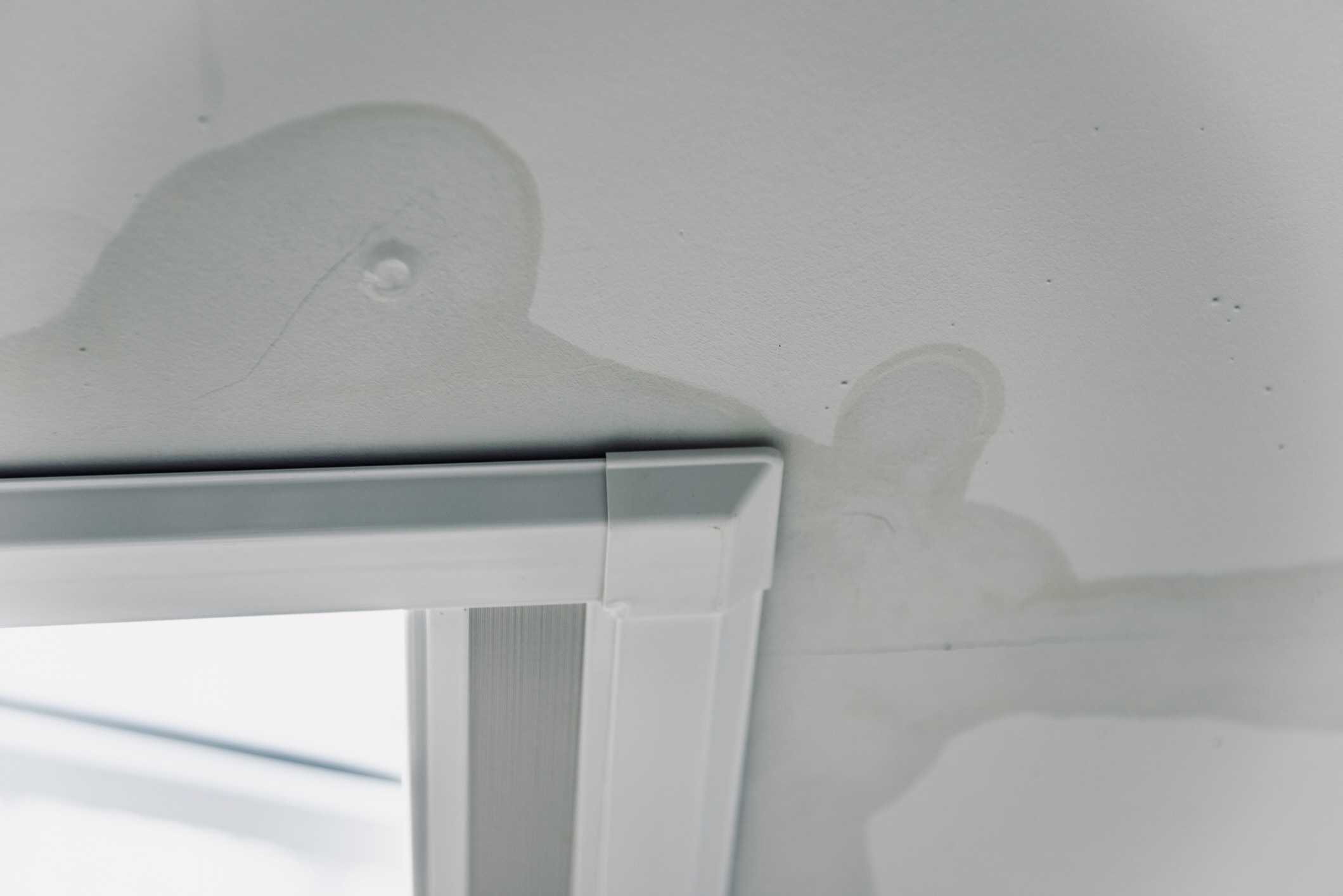 Undichte Dachfenster - Welche Versicherung zahlt? 