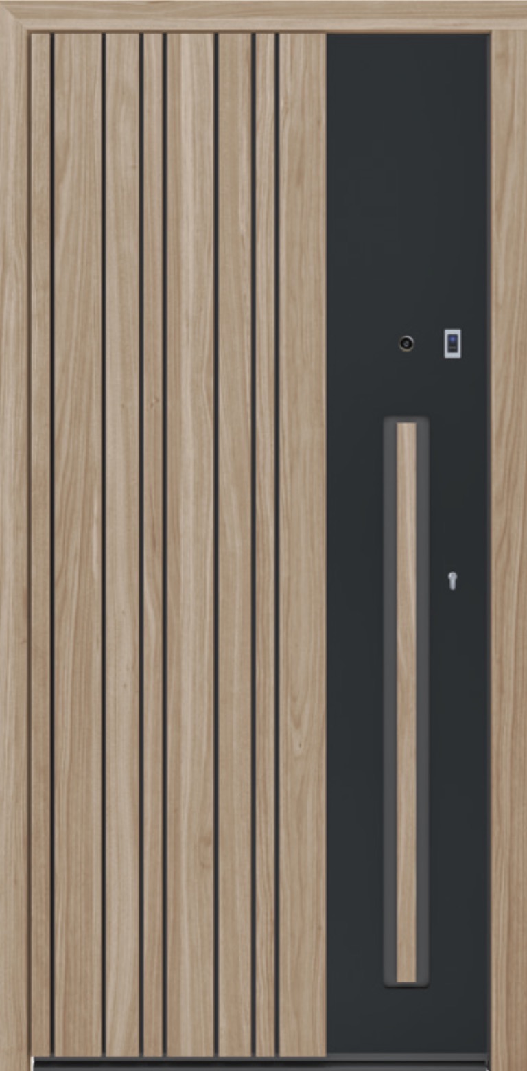 Schüco Haustür VE 1