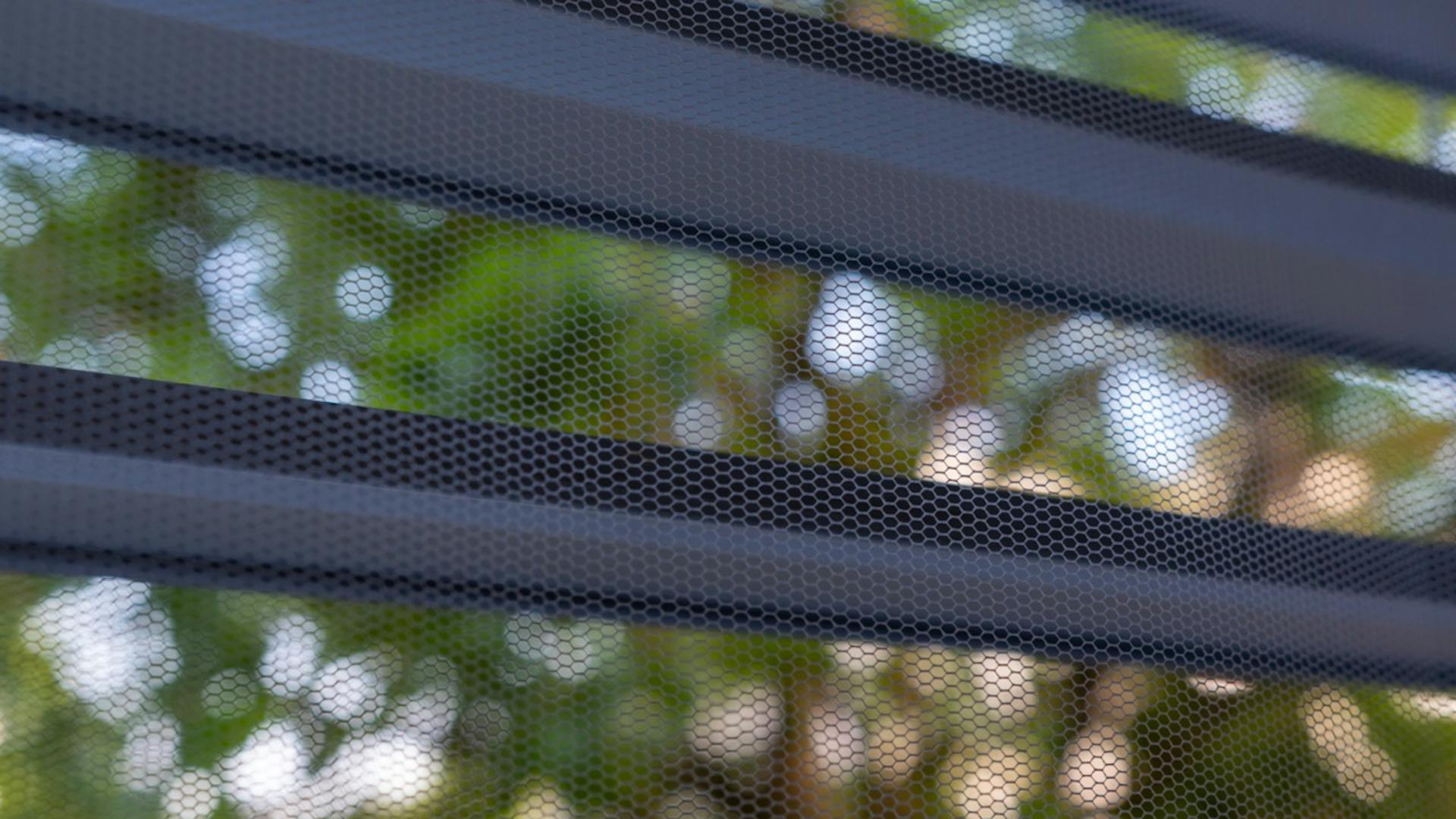 Schüco Fenster mit Insektenschutz Detail Schüco Fenster mit Insektenschutz Detail