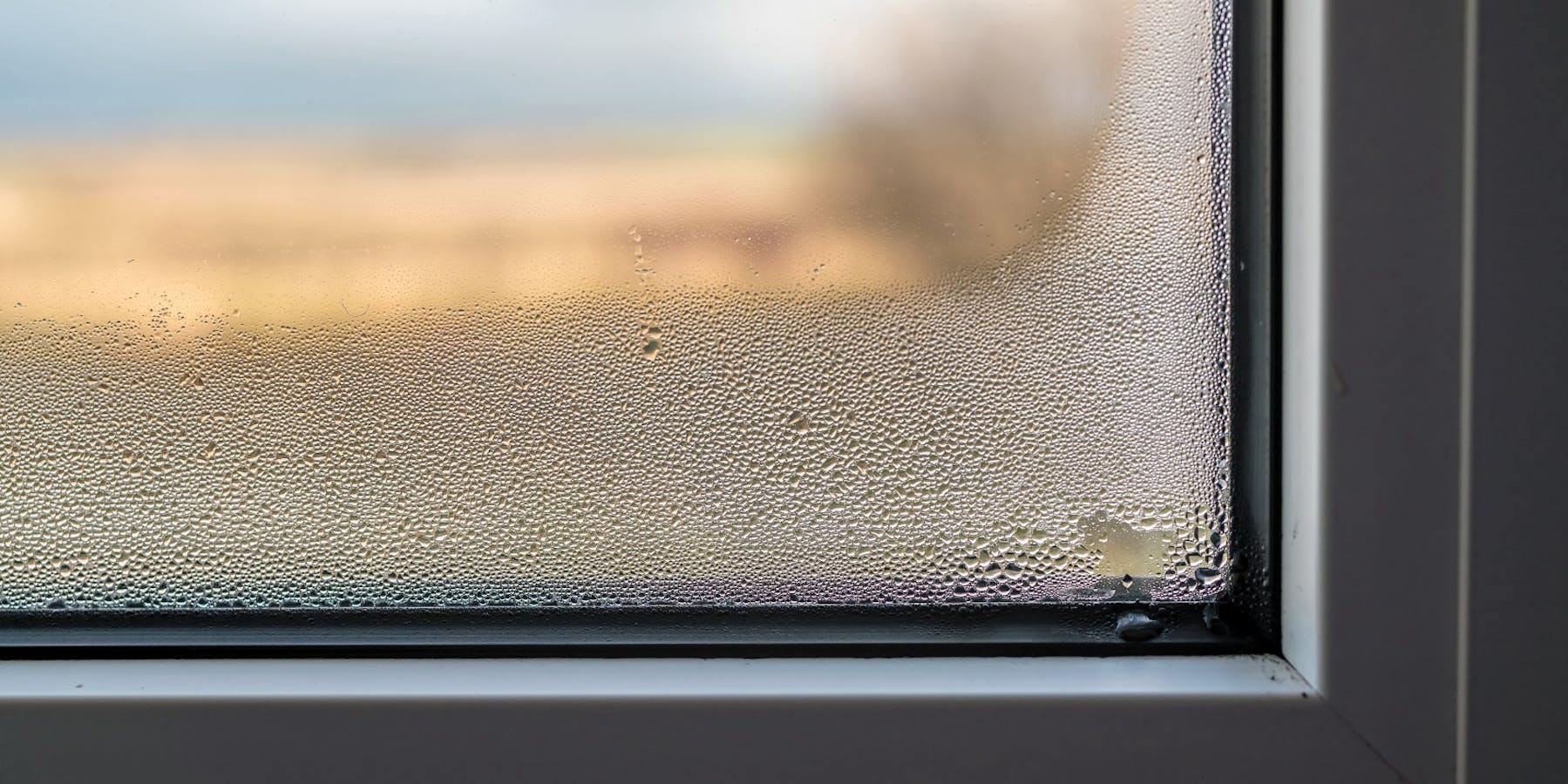 Kondensat am Fenster – Was können Sie tun?