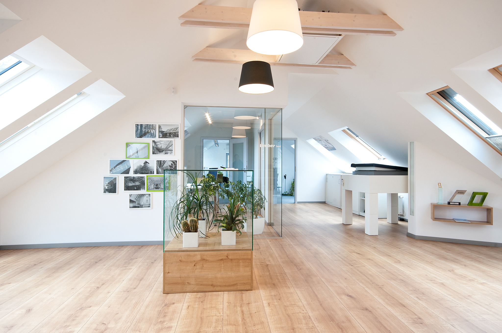 Dachfenster - Wie viel Licht brauchen Pflanzen?