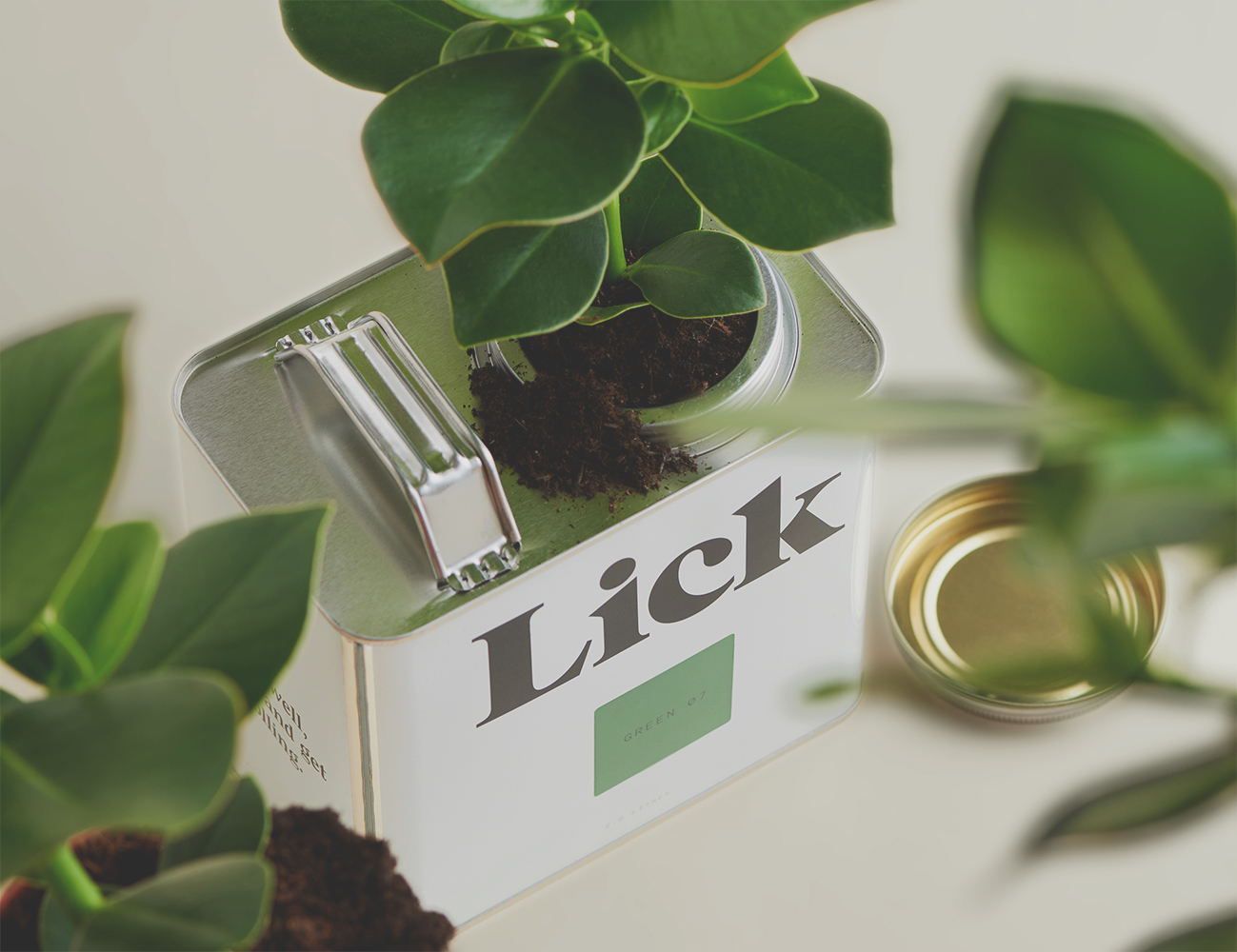 Decorate Sustainably With Lick's Eco Paint & More Lick