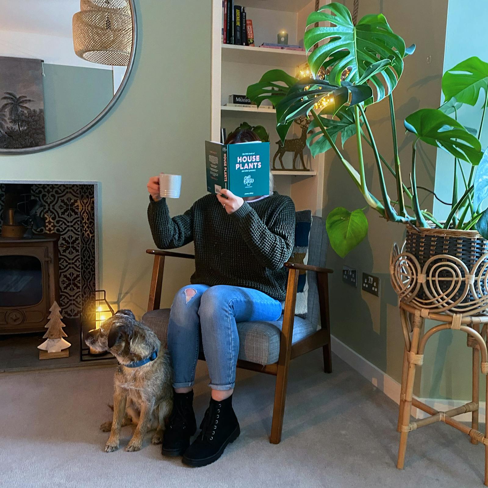 Woman sitting reading a book about house plants, as she sits next to a large plant in a green painted room