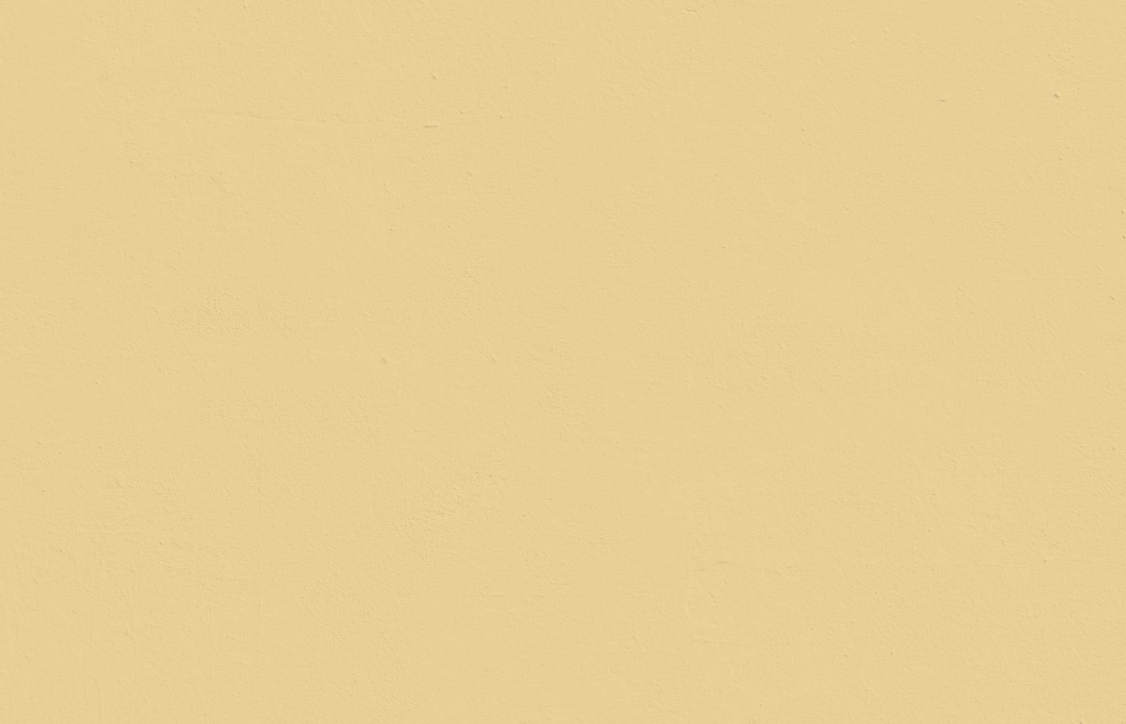 Textured wall painted in Lick Yellow 01 paint