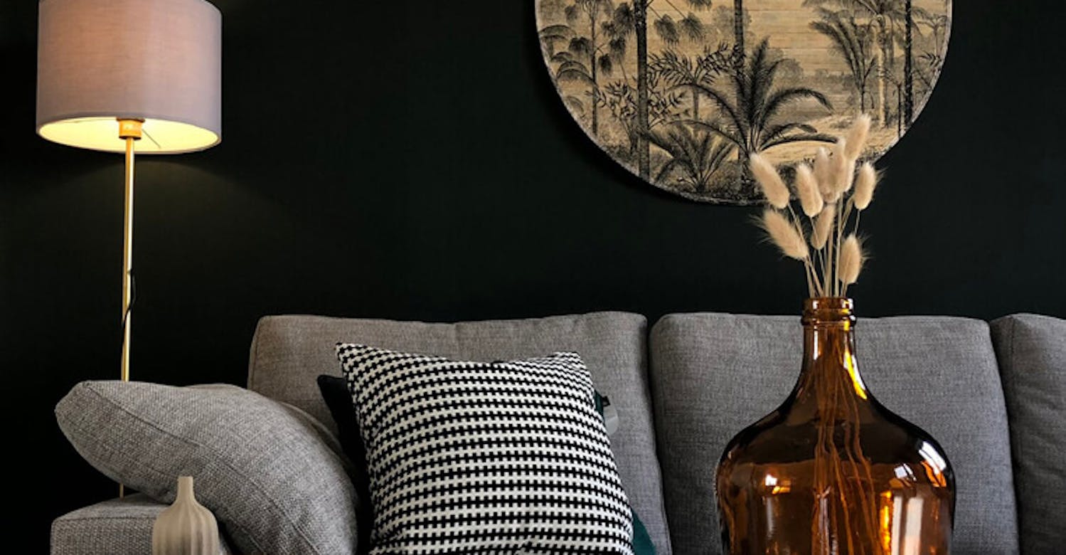 Paint Colour Ideas For A Small Living Room Inspiration Lick