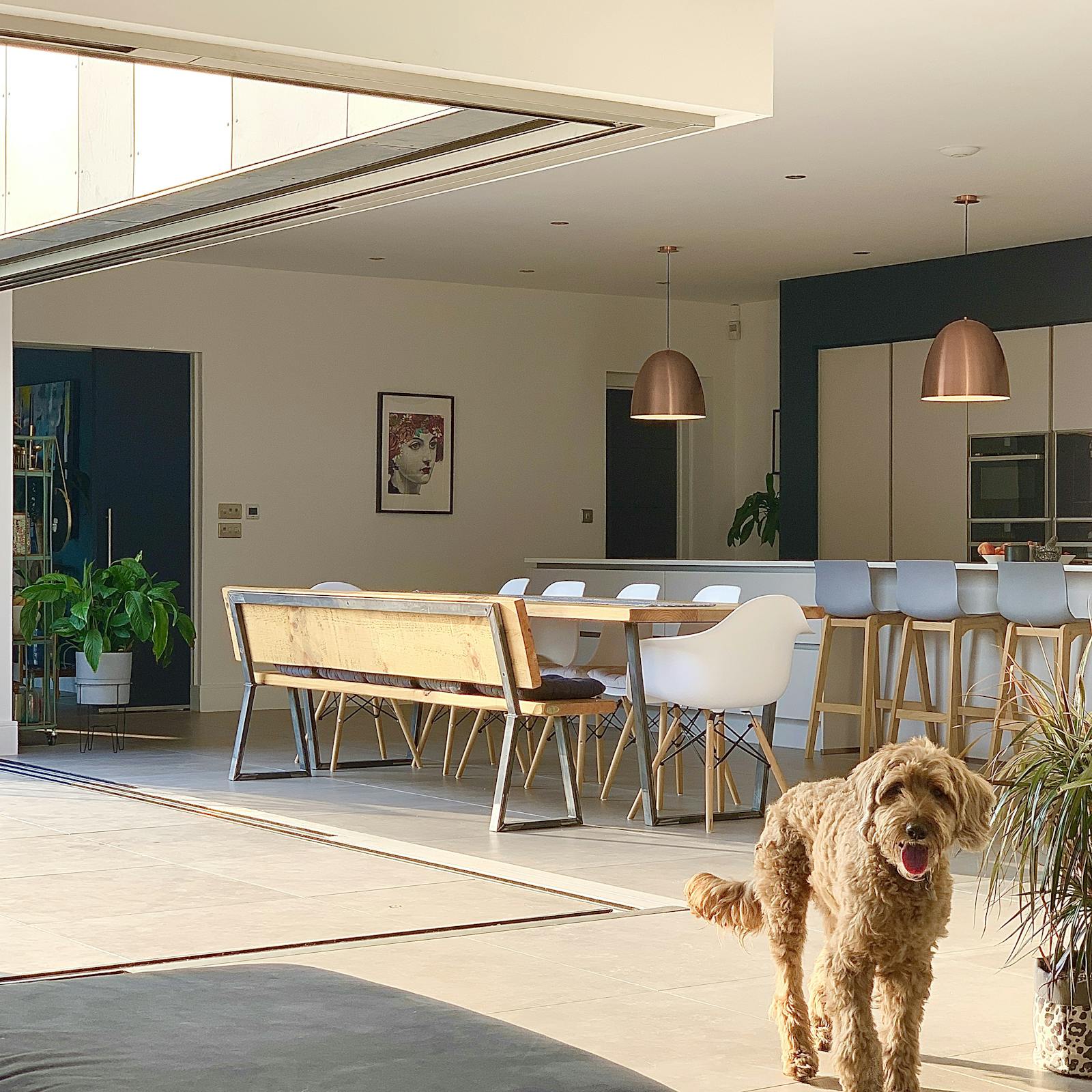 Open plan kitchen and dining room with open sliding doors, and a dog in the forefront of the image.