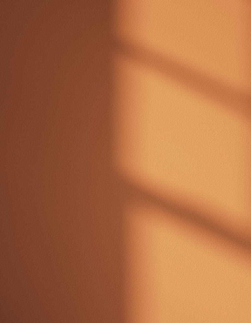 Textured wall painted in Lick Orange 02 paint