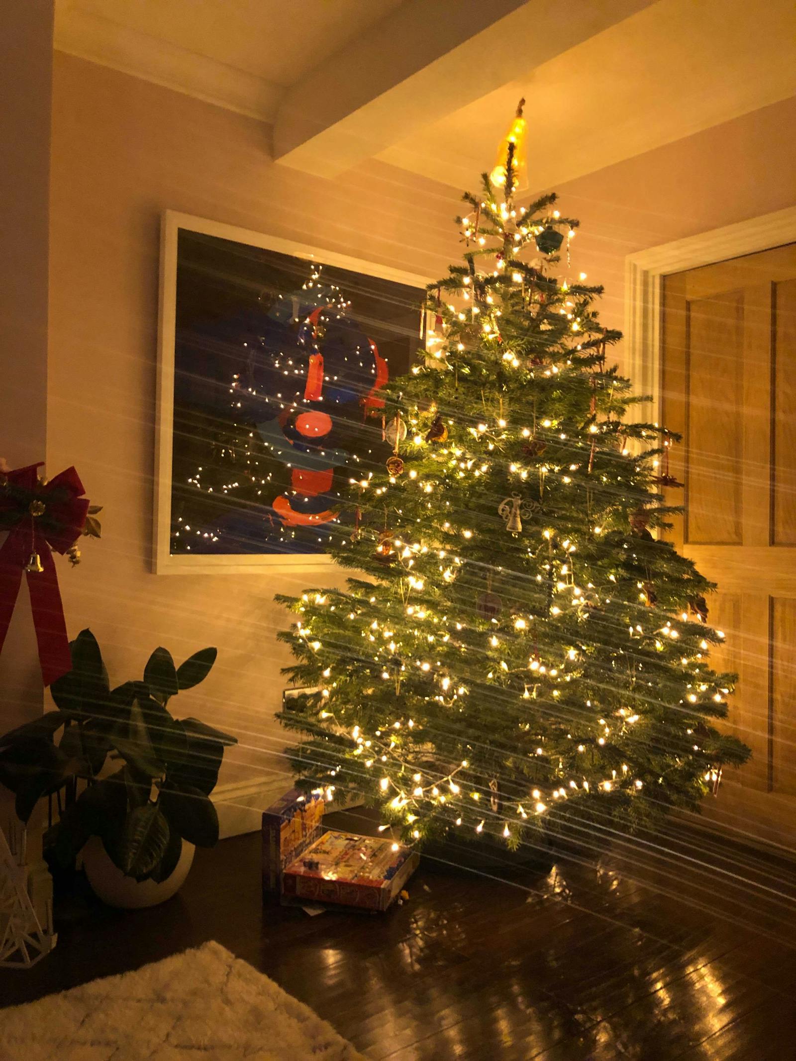 Fully lit up Christmas tree