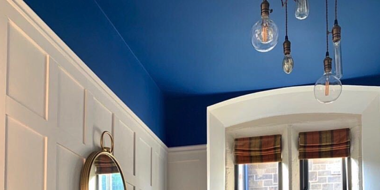 What Is The Best Type Of Paint To Use On Ceilings | Americanwarmoms.org