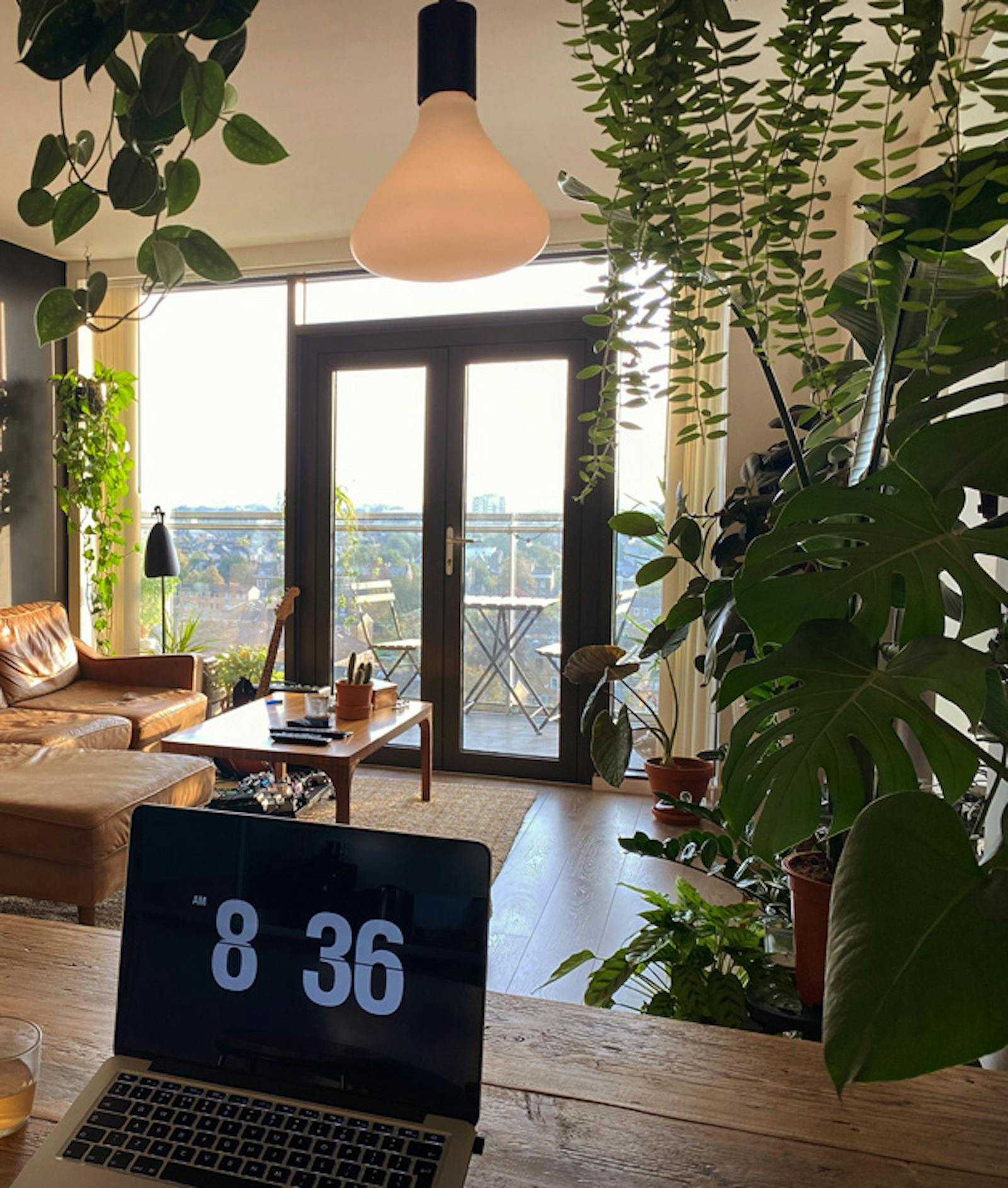 Open-plan kitchen living room with hanging plants and layered lighting