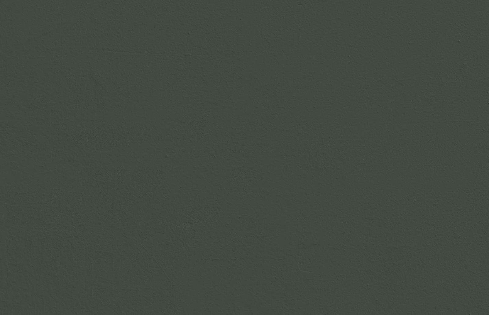 Textured wall painted in Lick Green 06 paint