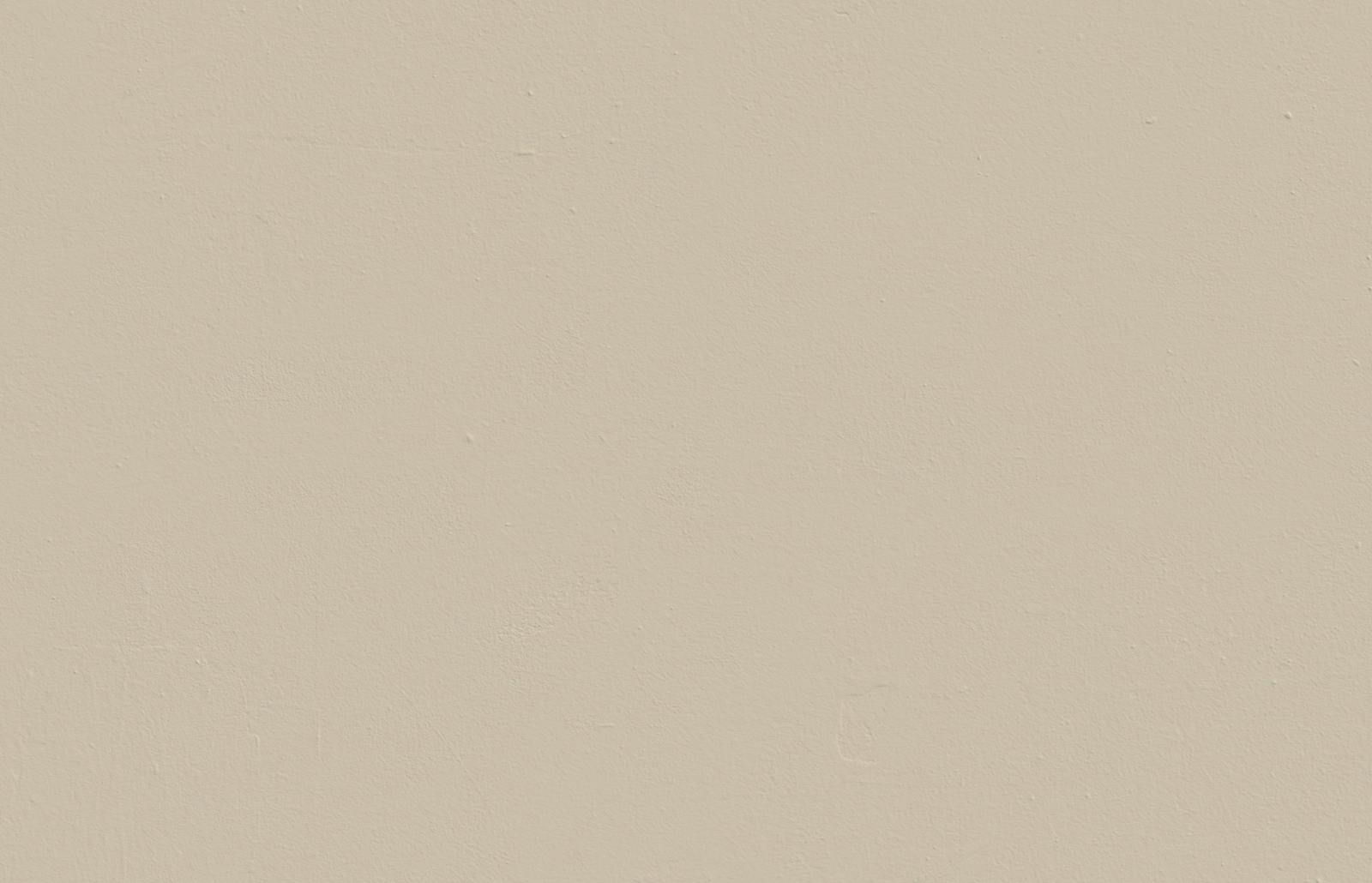 Textured wall painted in Lick Greige 01 paint