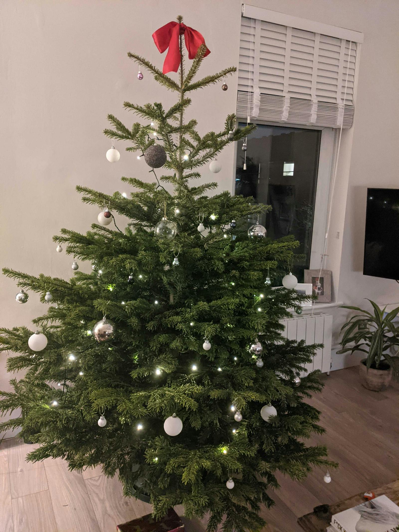 Christmas tree decorated in white and silver baubles